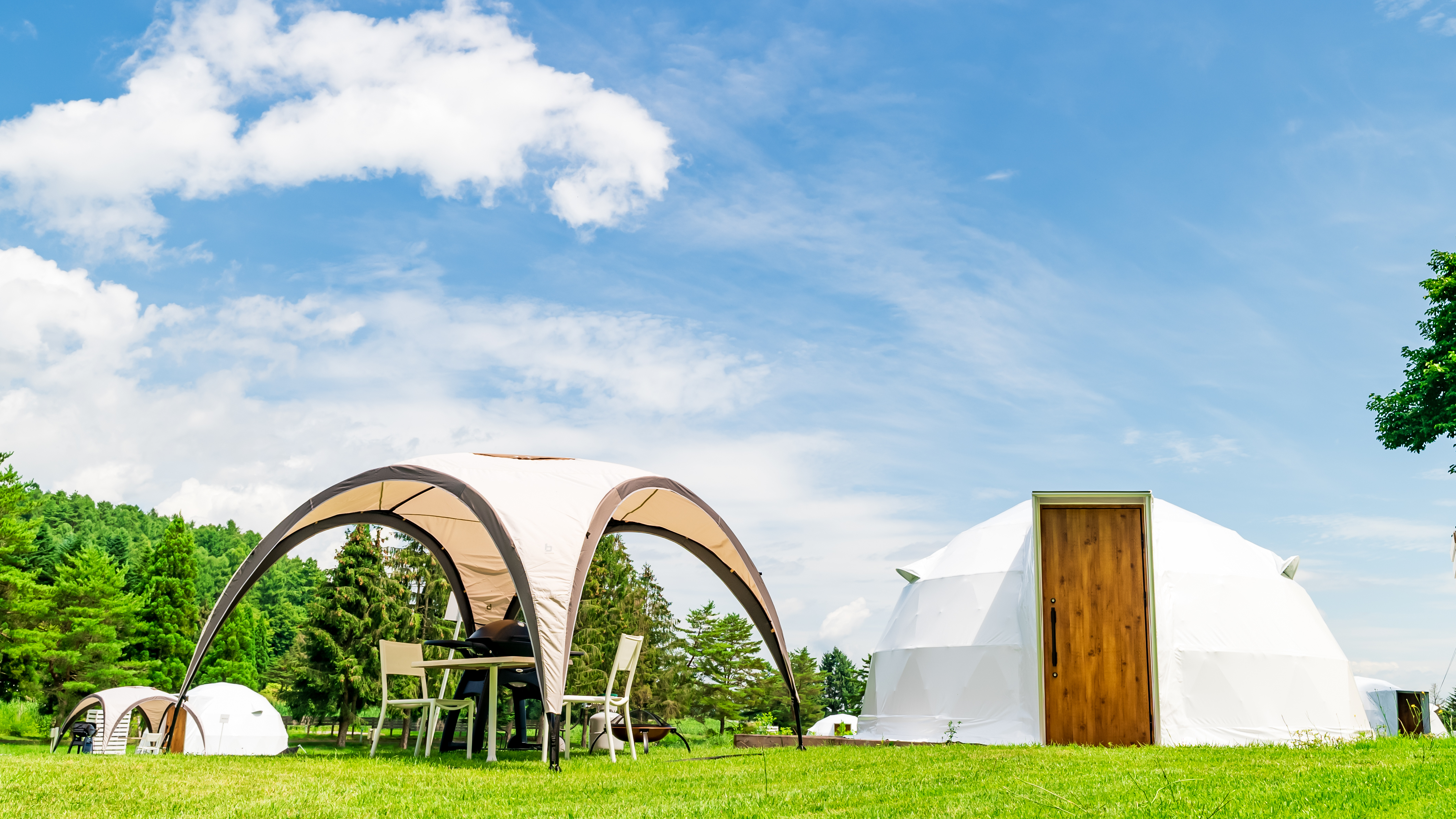 シングルドーム