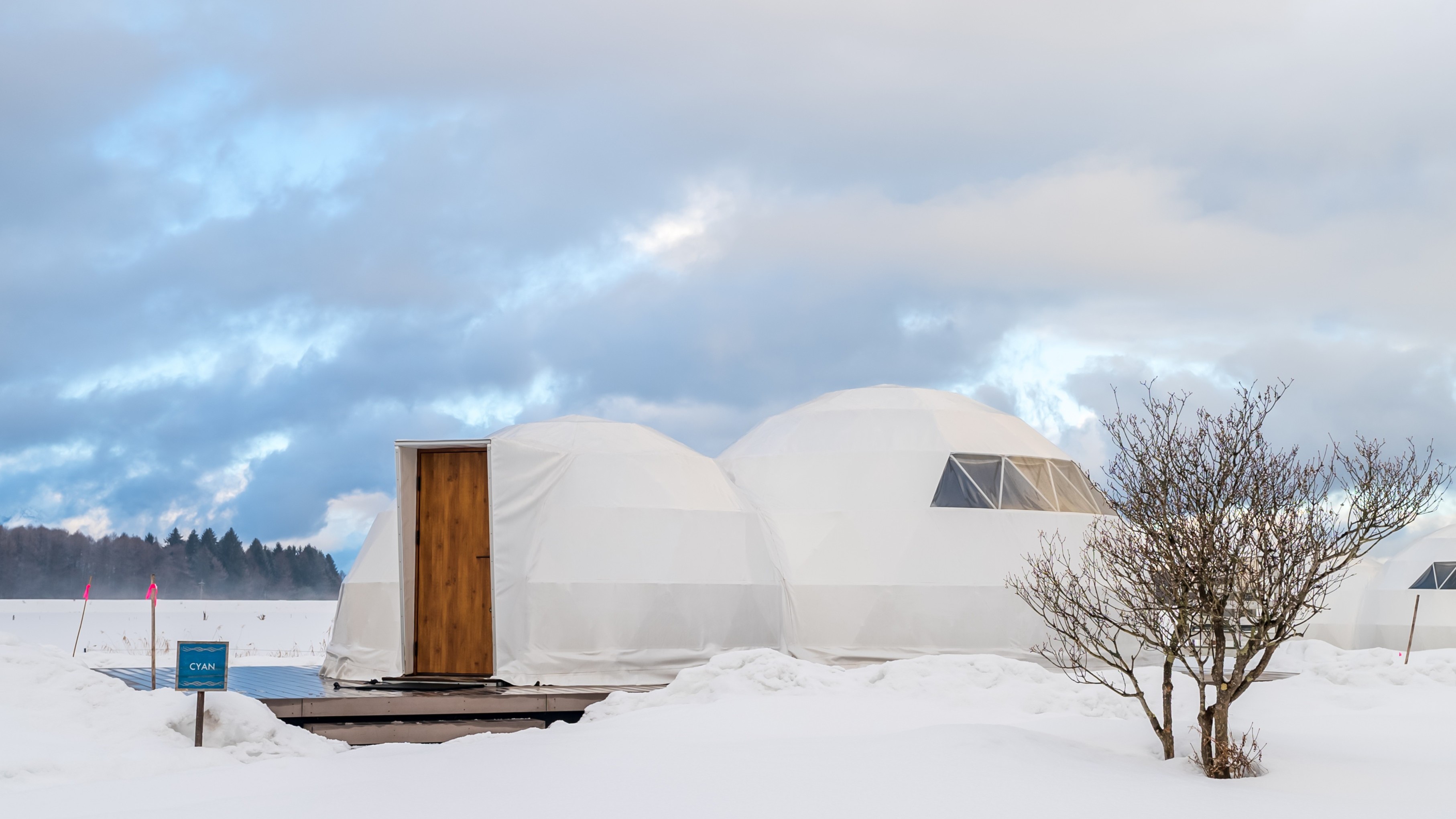 冬の日のツインドーム