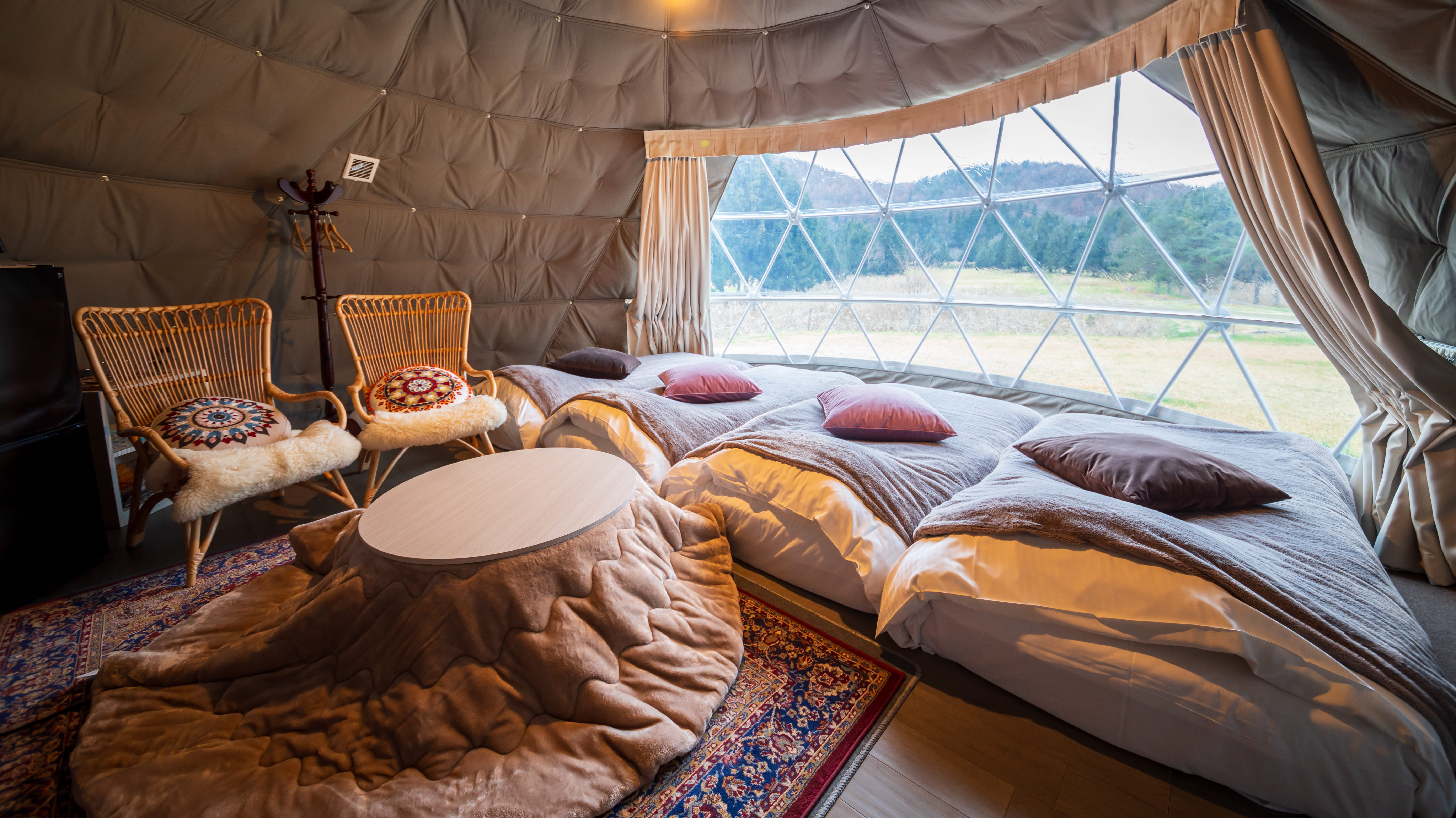 こたつでぬくぬくと過ごす