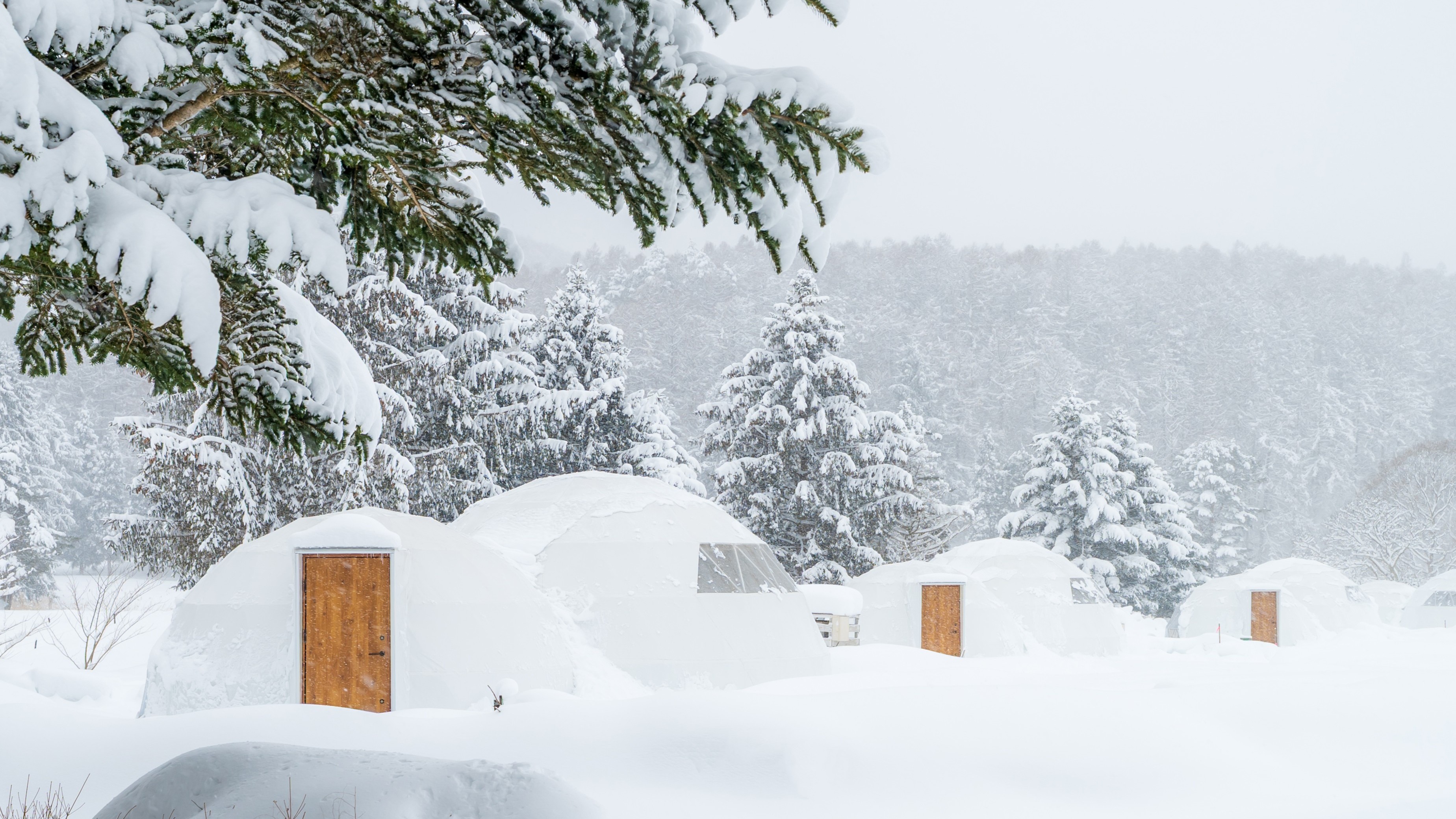 雪が舞い散る日