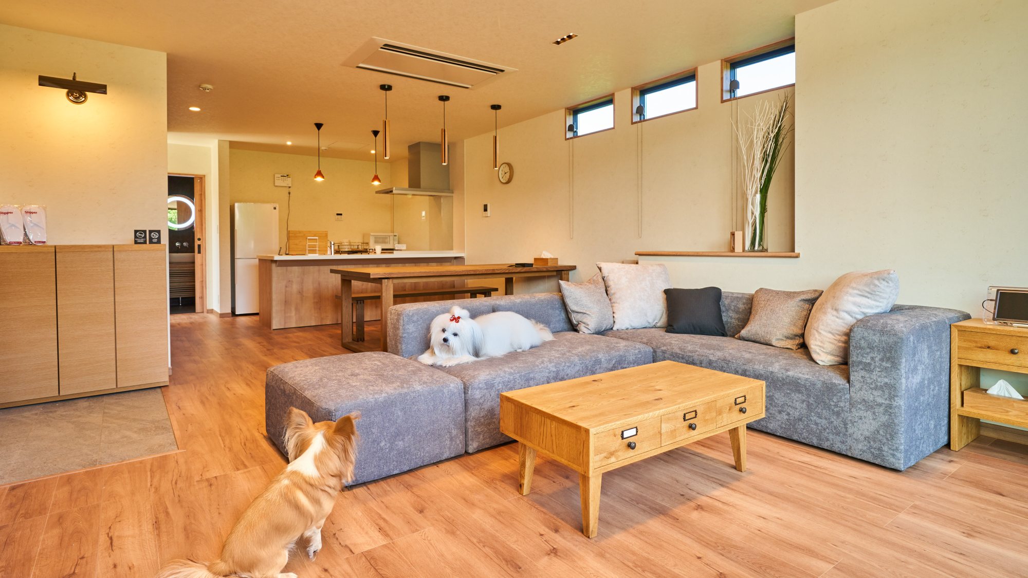 【106/ドッグフレンドリー】106のみ愛犬とご宿泊可能です。