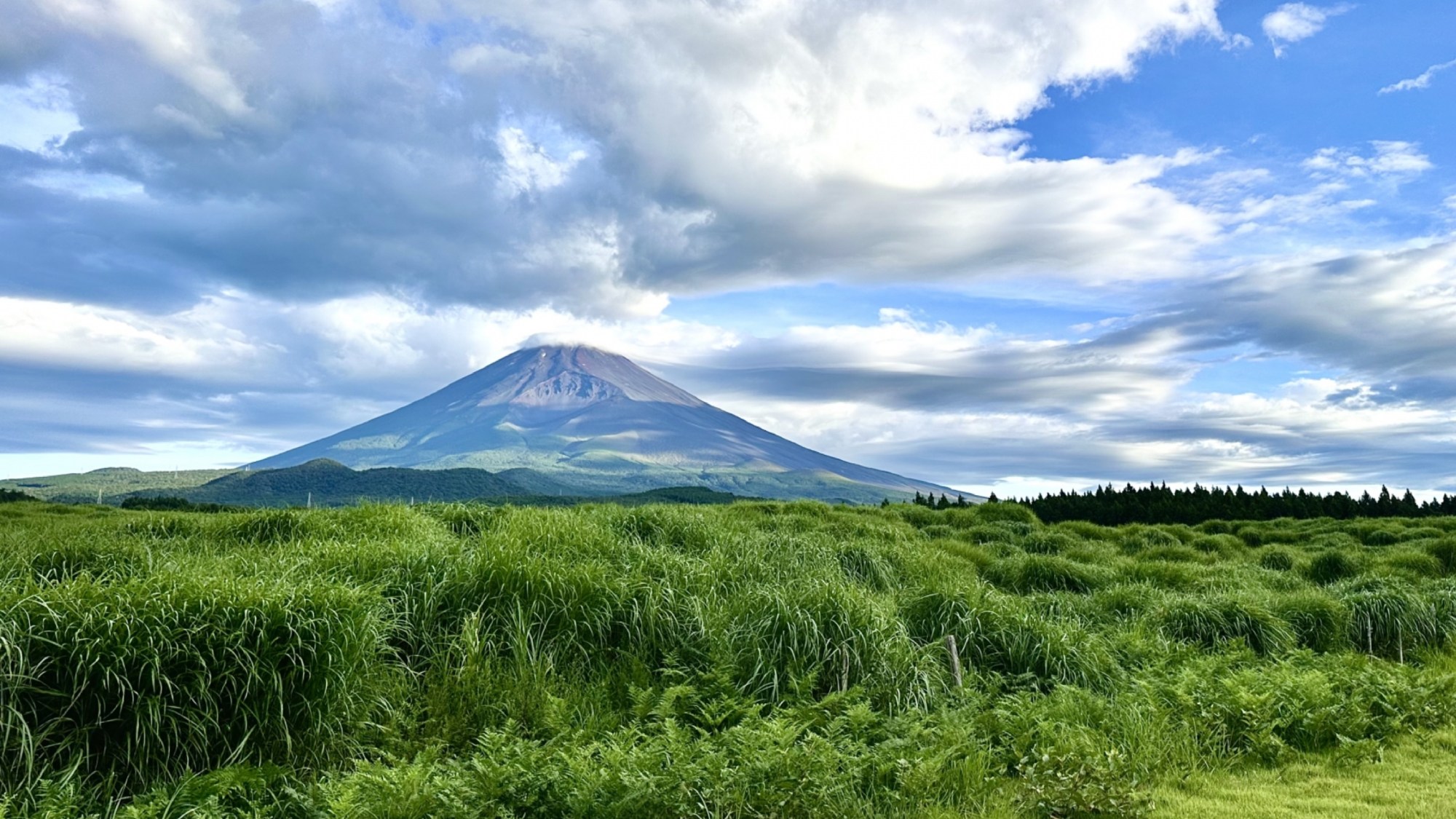 周辺観光　夏の富士山