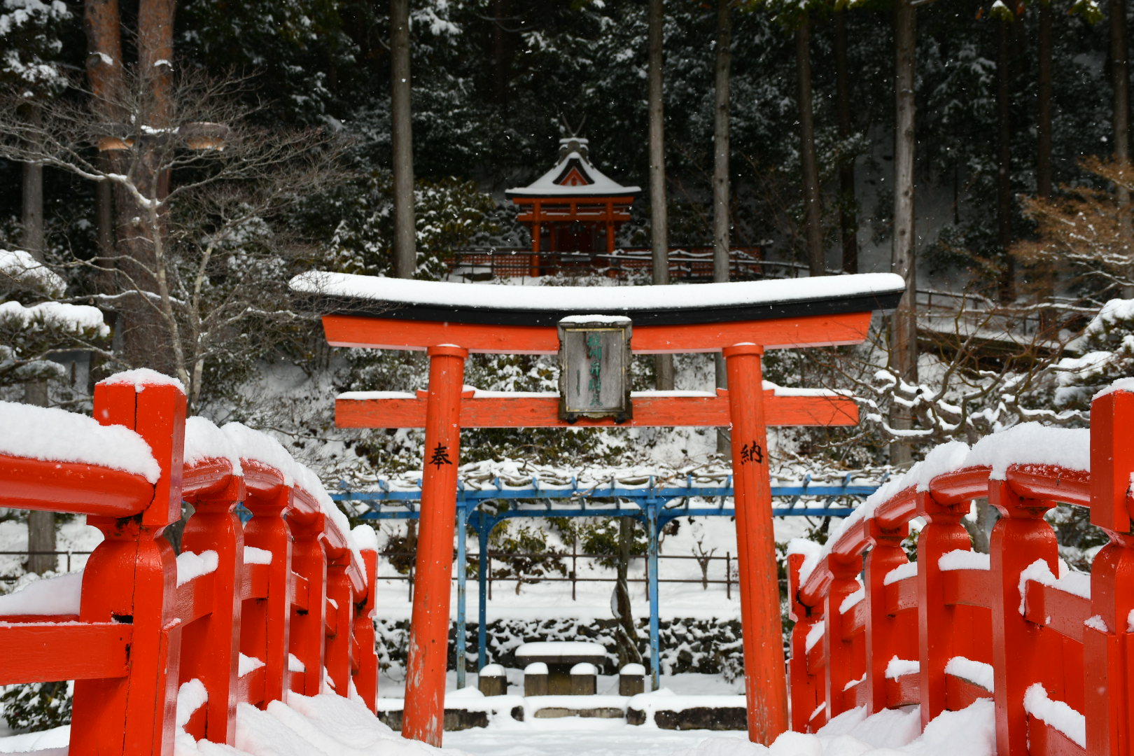 弁天公園