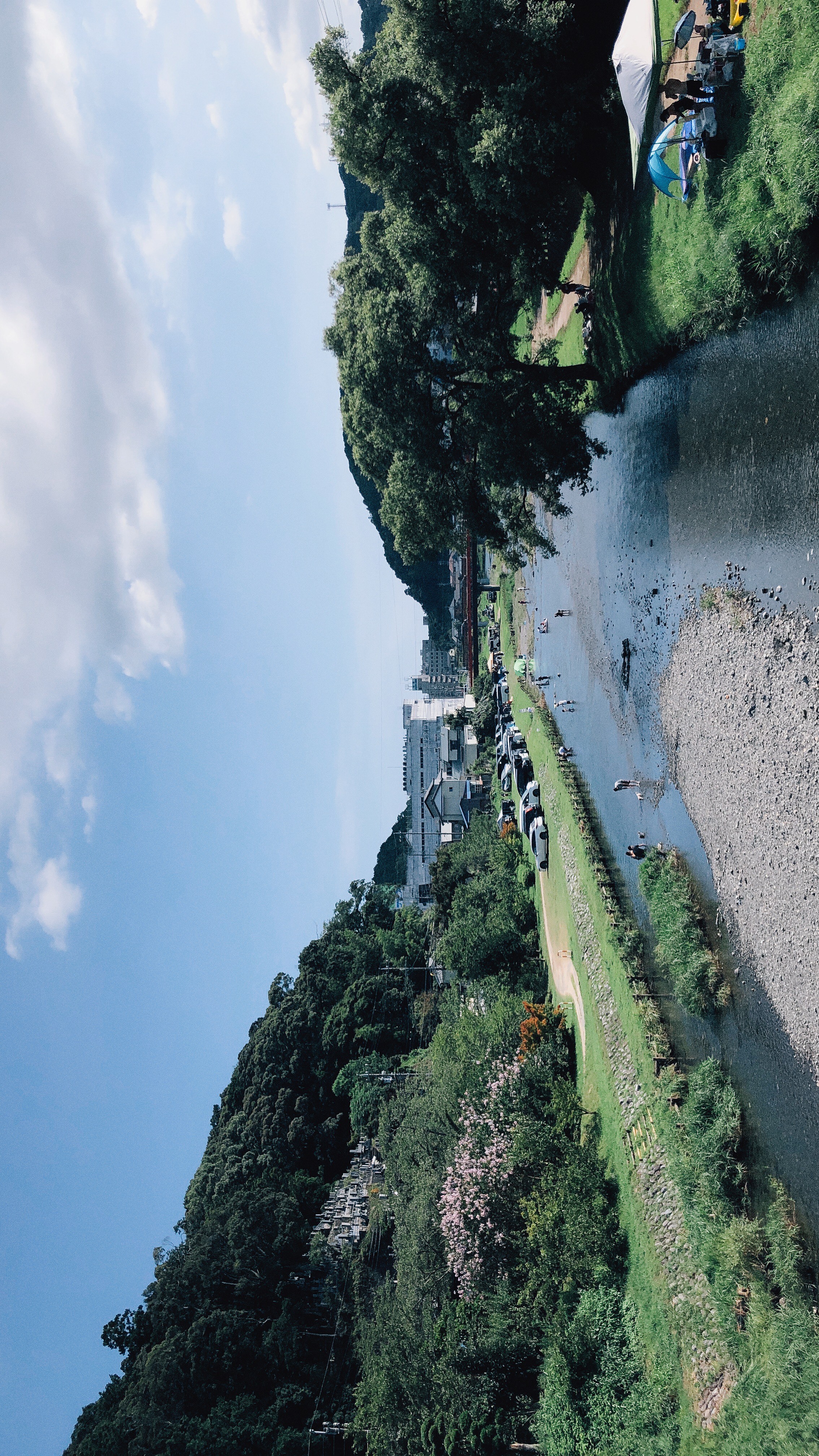 近所の川