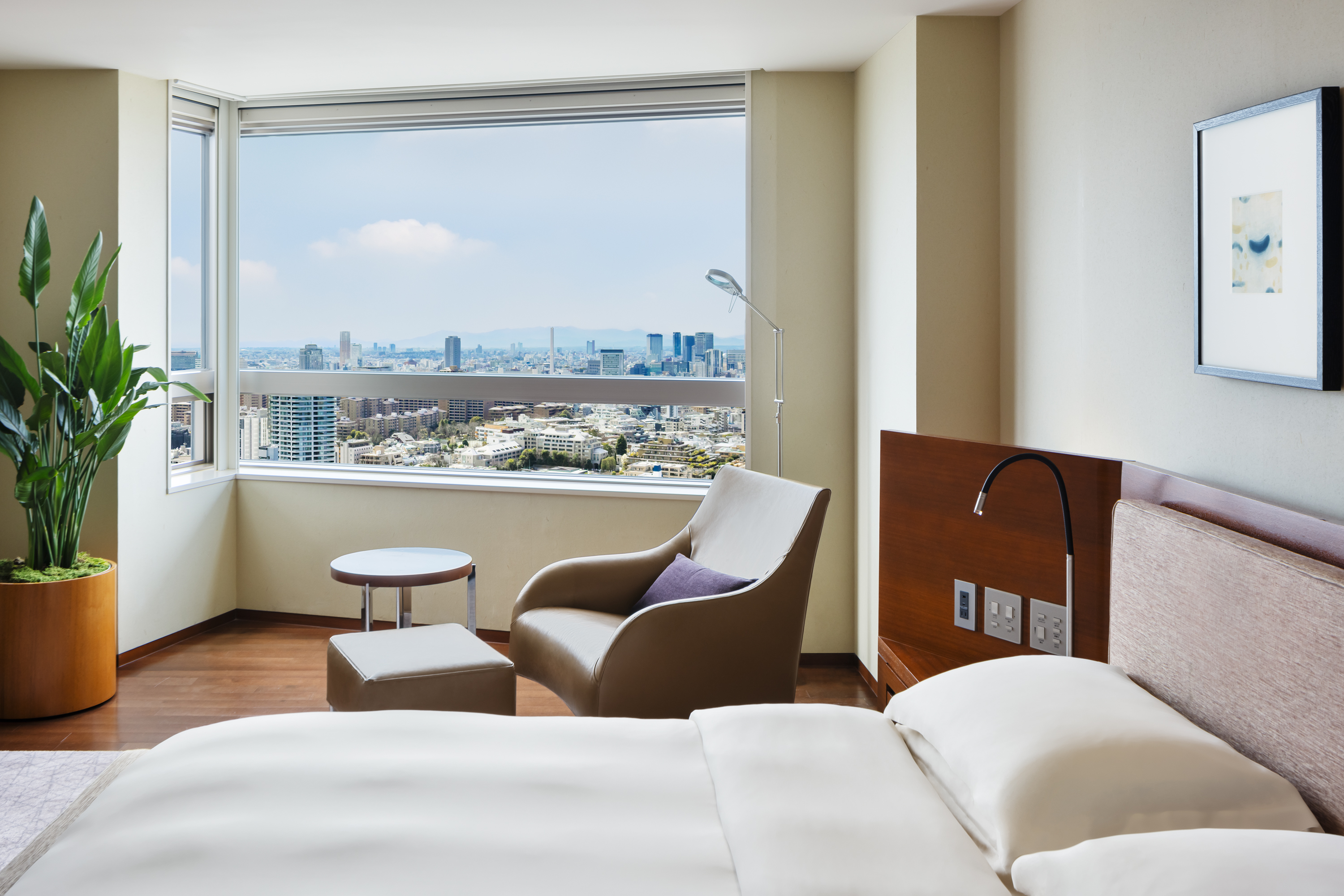 ディプロマットスイート キング