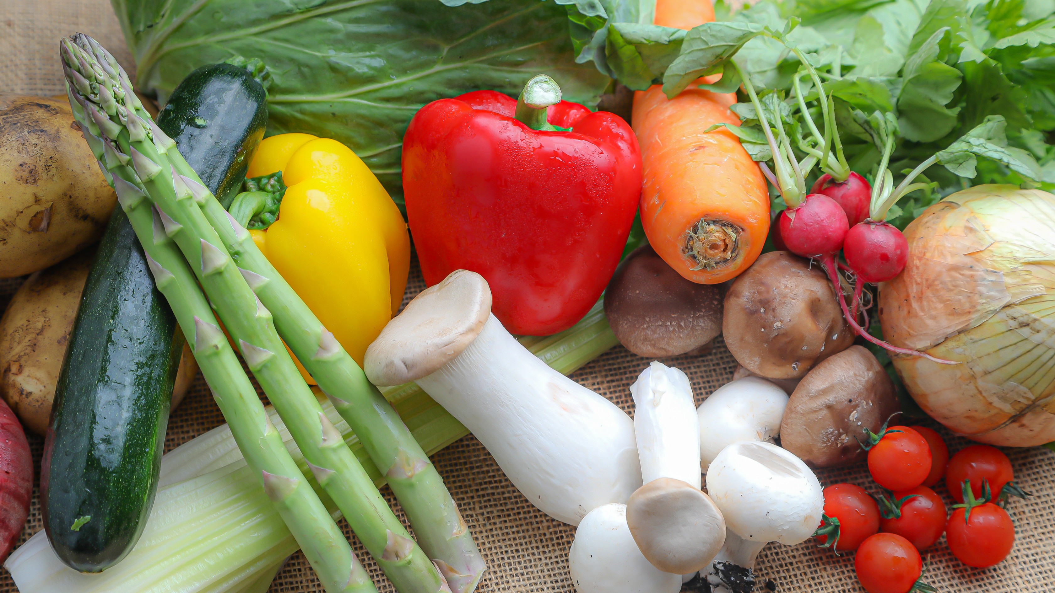 湘南野菜をふんだんに使っています