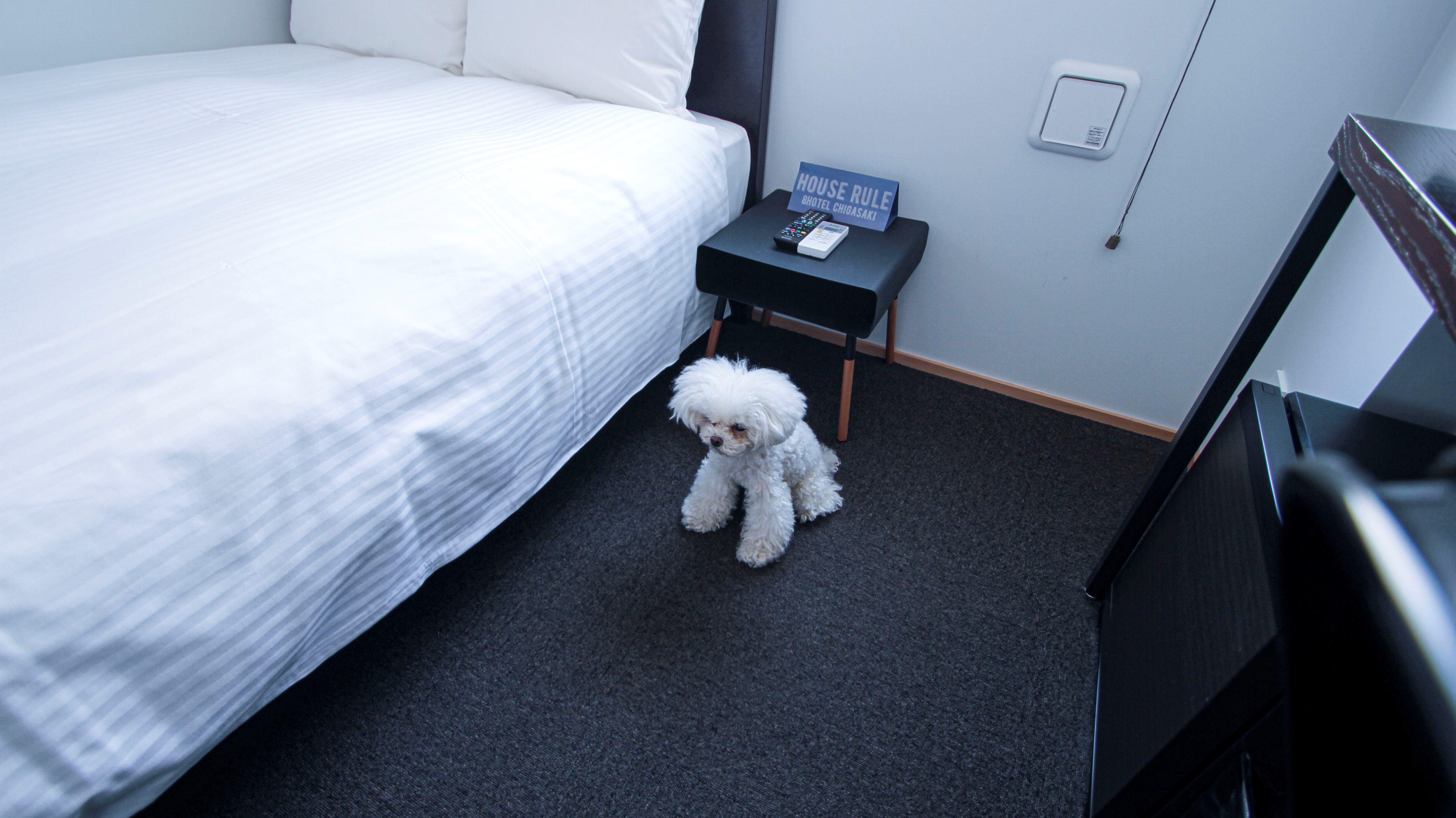 わんちゃんもご一緒にご宿泊いただけます(※有料、要事前予約)