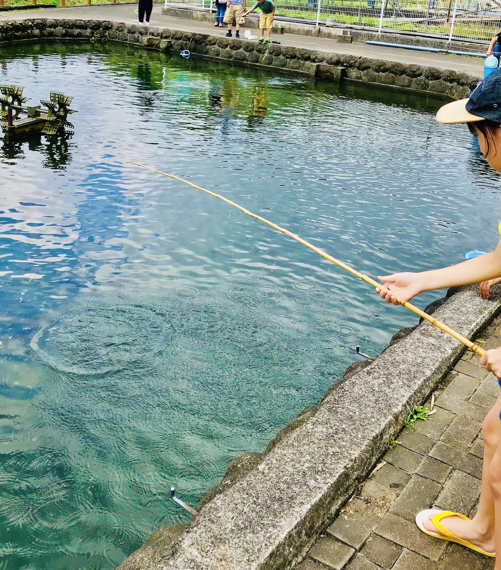 【美祢市養鱒場釣り堀】大人も子供も楽しめます。釣った鱒は弁天池の食事処で調理もしてくれます♪