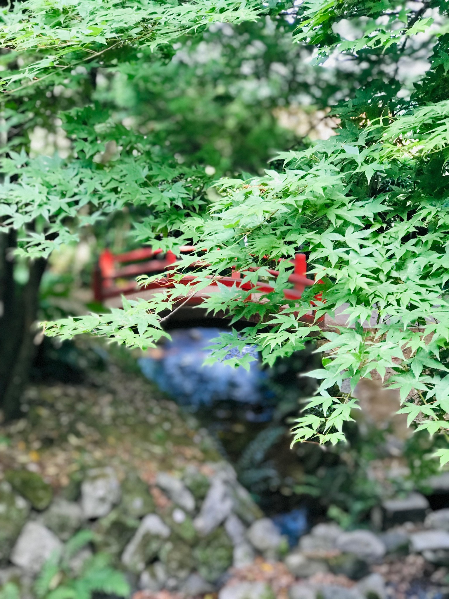 別府弁天池