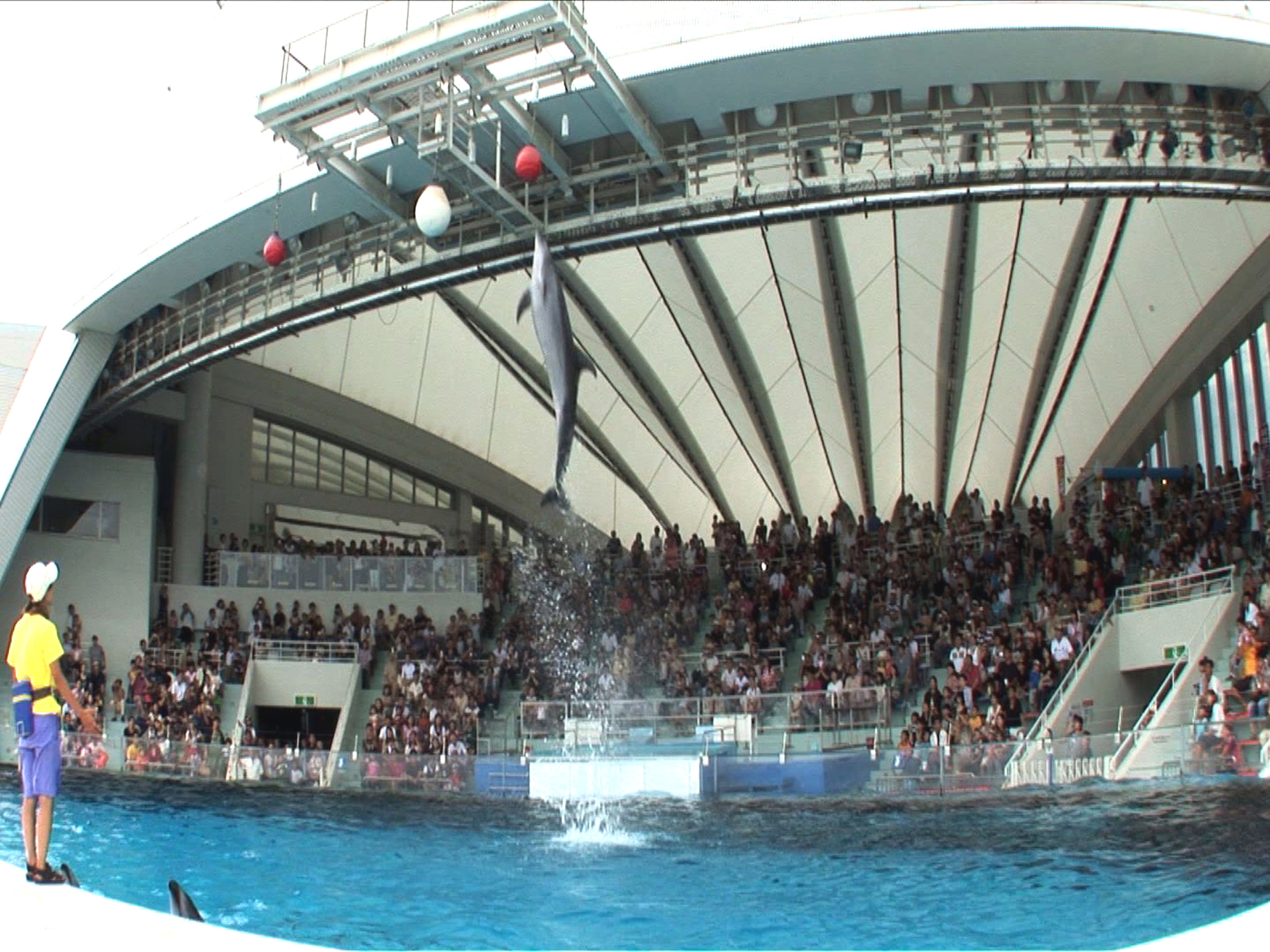 【マリンワールド】九州最大級の水族館。車で約30分※写真提供：福岡県観光連盟
