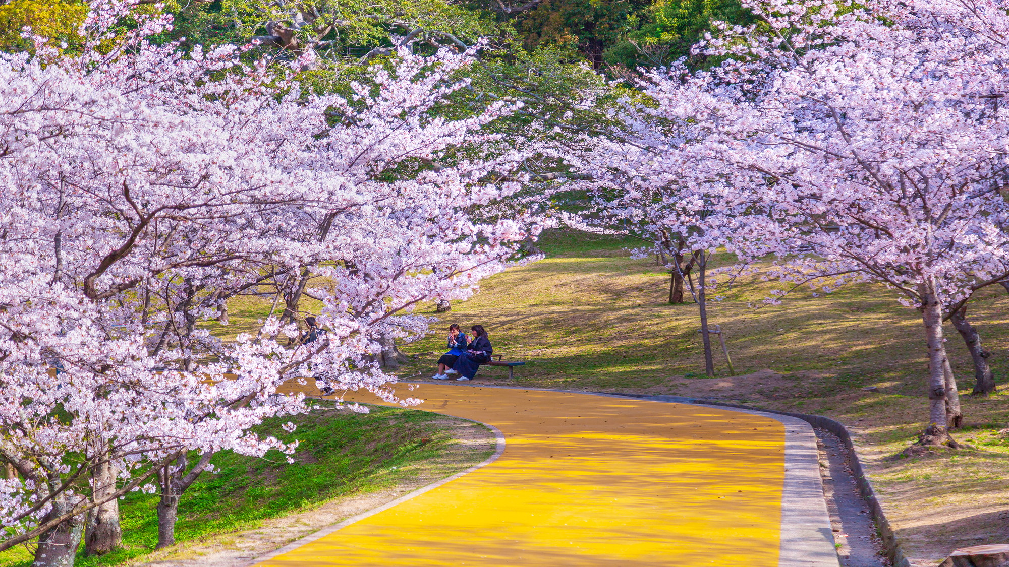 【西公園】春は桜の名所としても人気の公園。地下鉄+徒歩で約20分※写真提供：福岡県観光連盟
