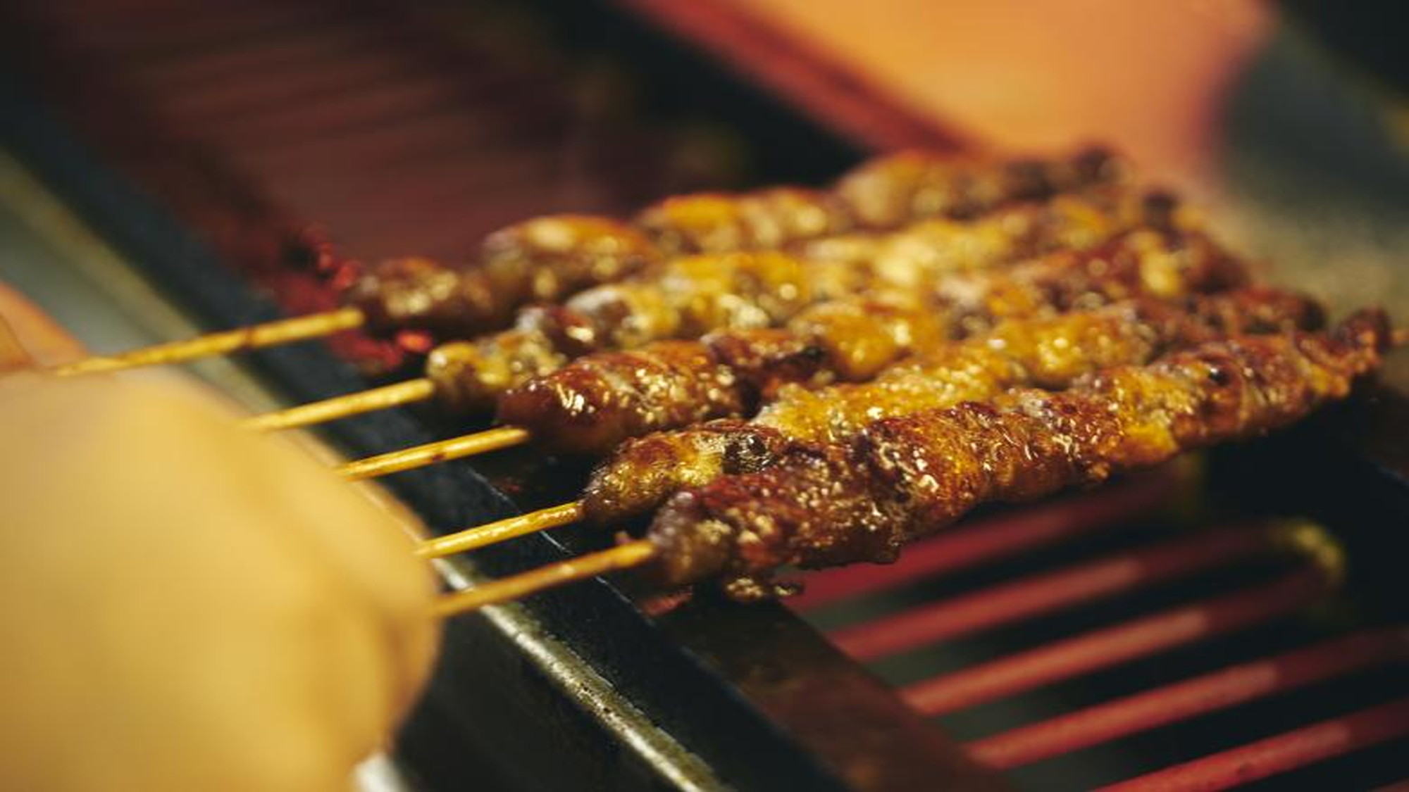 【とり皮】6日間掛け仕上げる「かわ屋のとり皮」が人気！駅ではお土産も販売。※写真提供：福岡県観光連盟