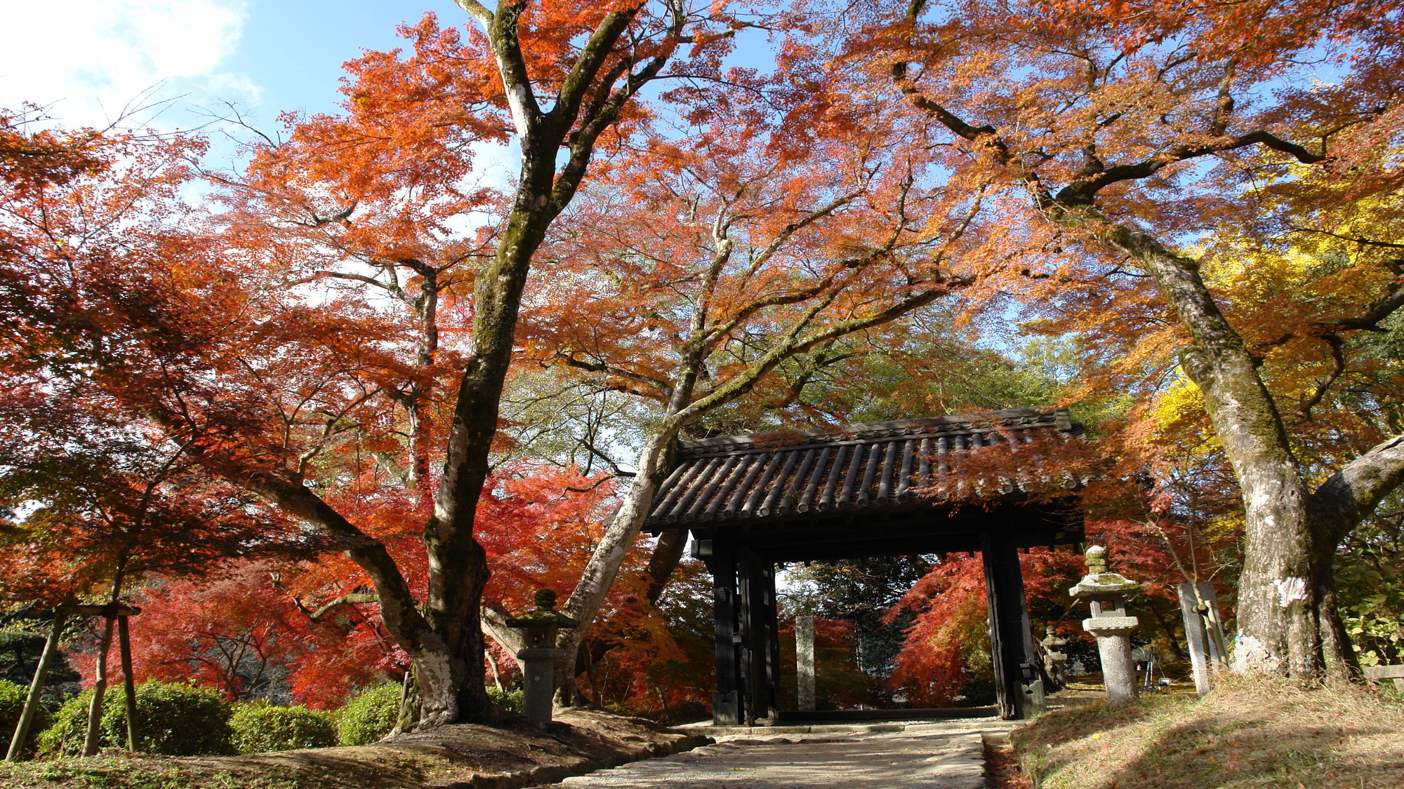 【秋月】市内郊外、筑前の小京都。車で約60分※写真提供：福岡県観光連盟