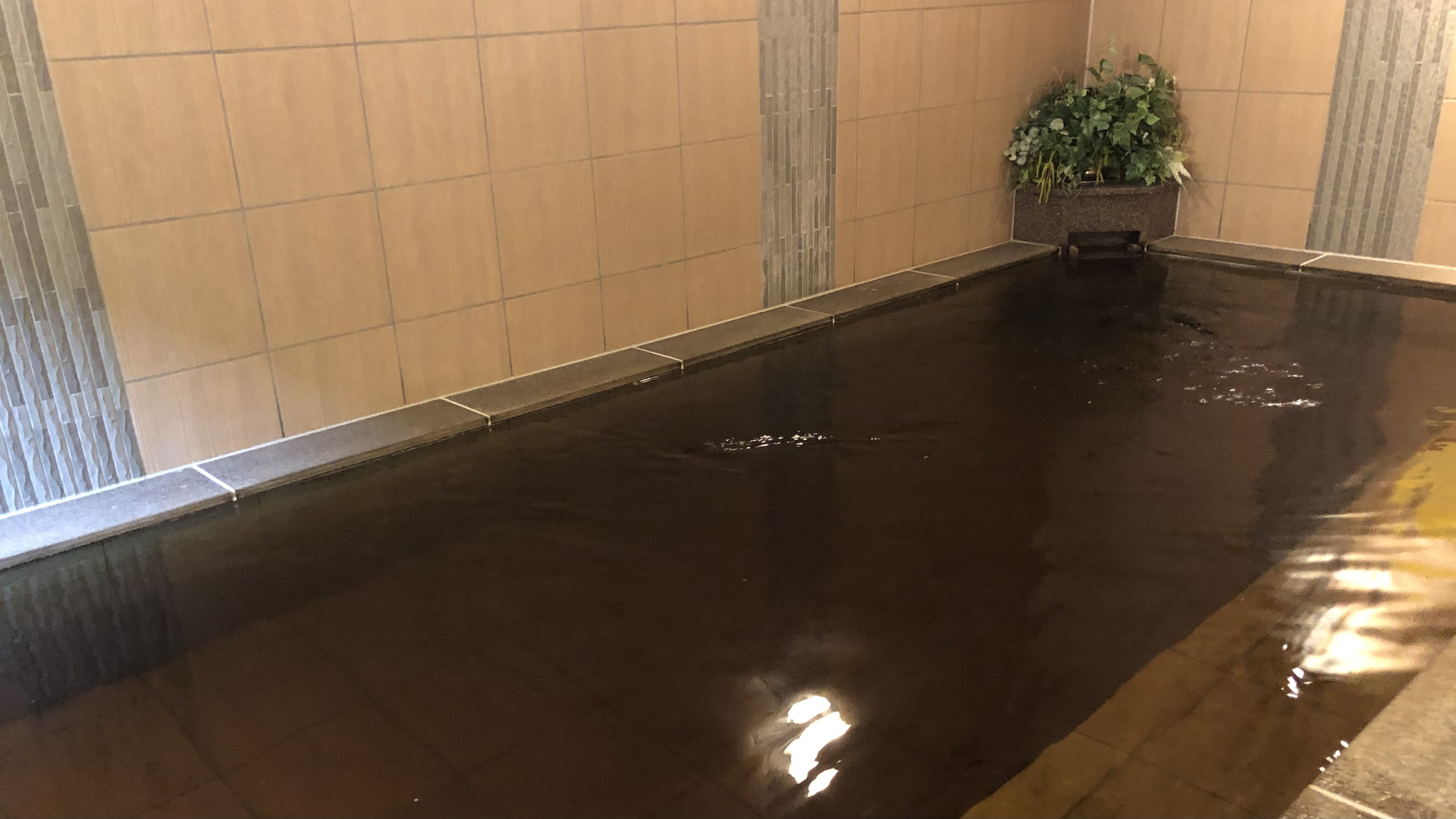 天然温泉　旅人の湯【女性大浴場】