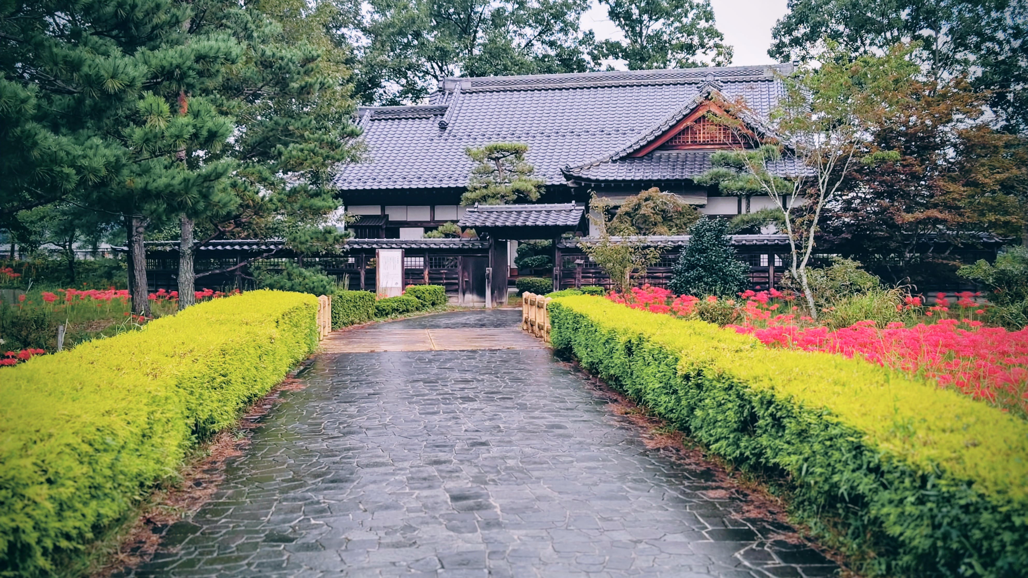 安達ケ原：車で10分  秋には一面の彼岸花が見ものです。無料のキッズパークもあります