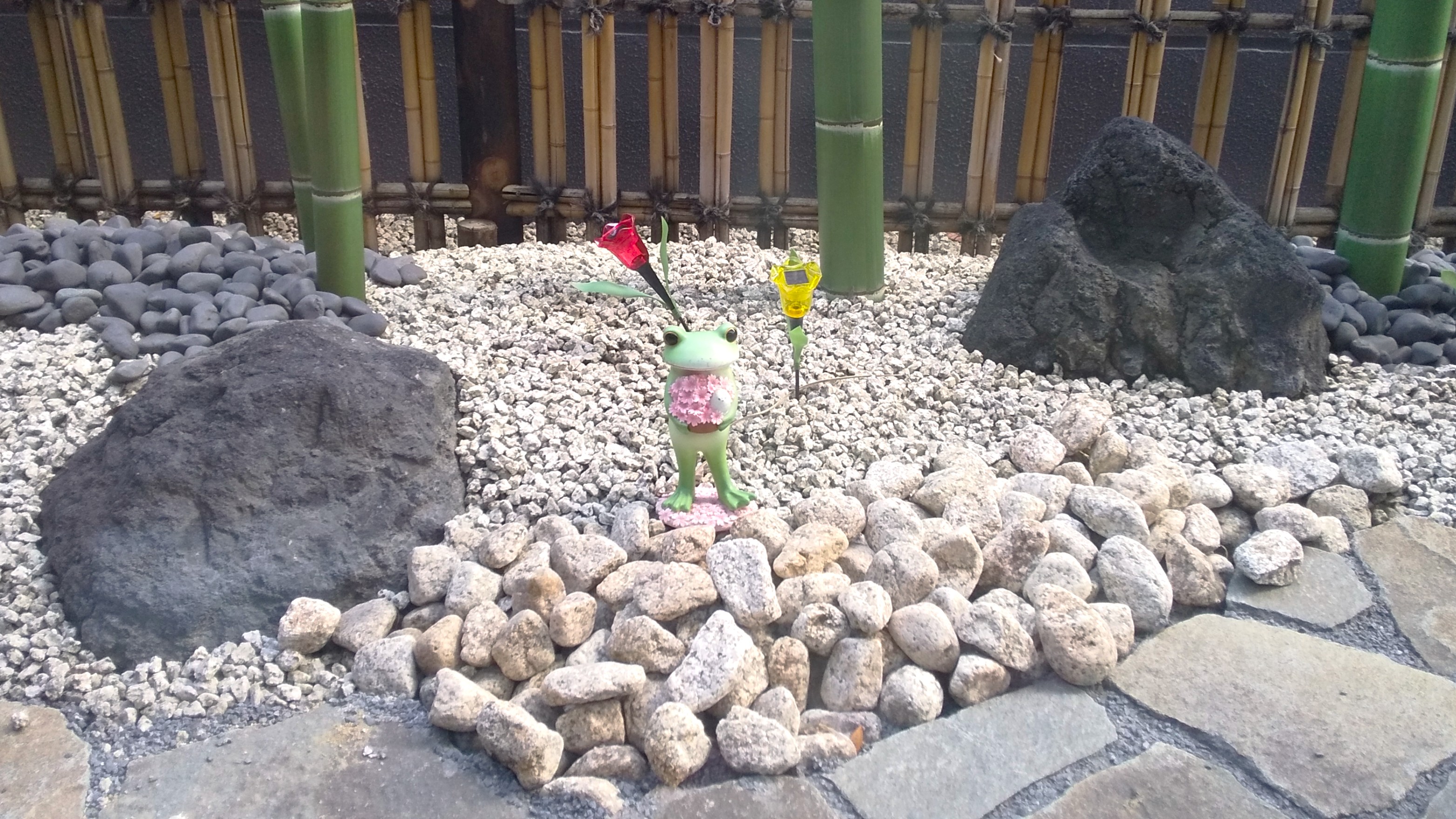 大浴場坪庭には可愛いカエルが住んでおります