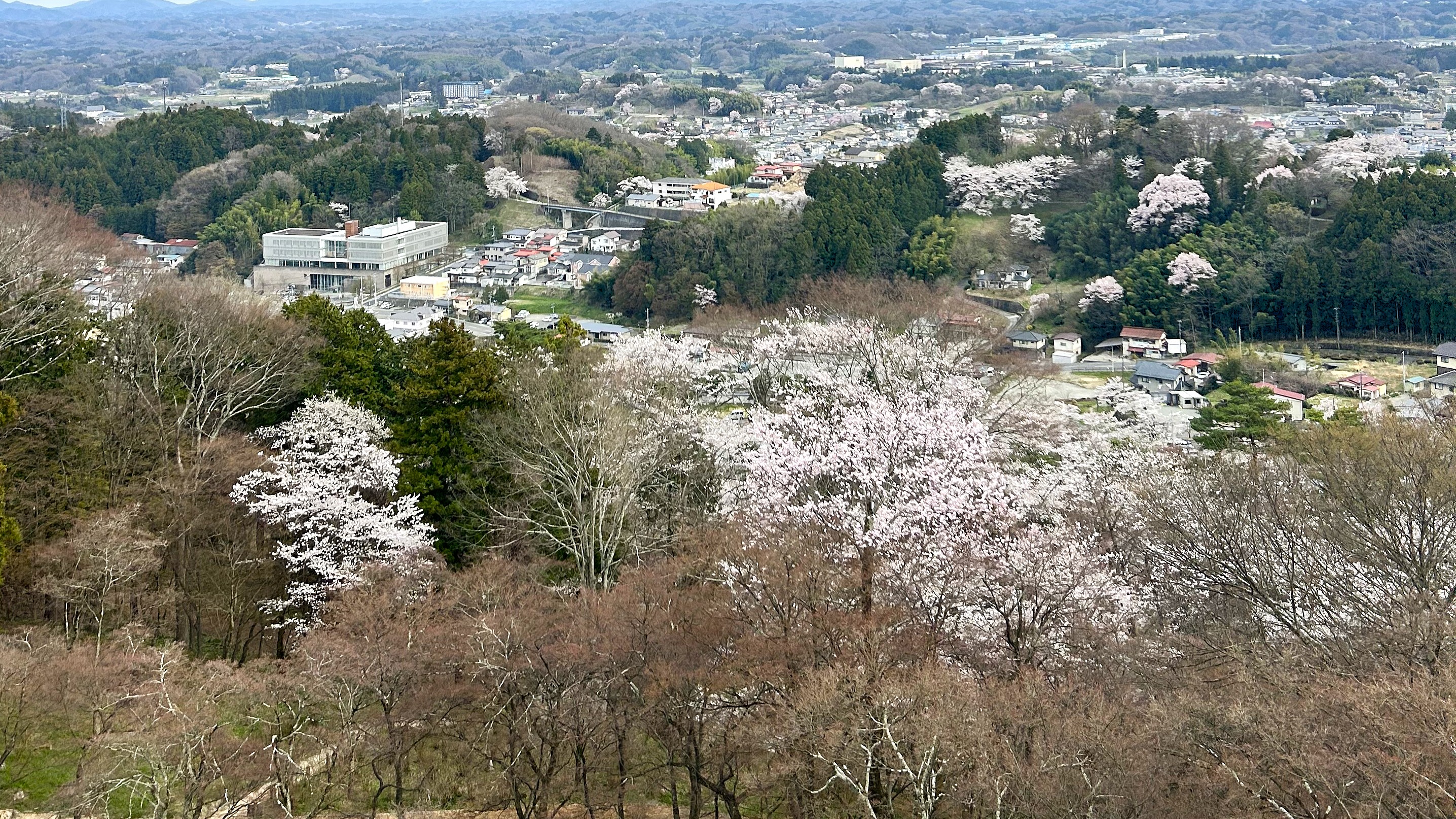 二本松城本丸跡地：車で12分　当ホテルを眺めることができます