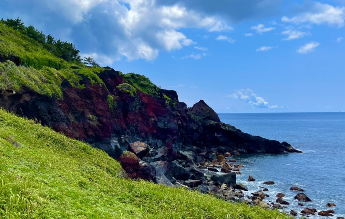 ・大島の大自然