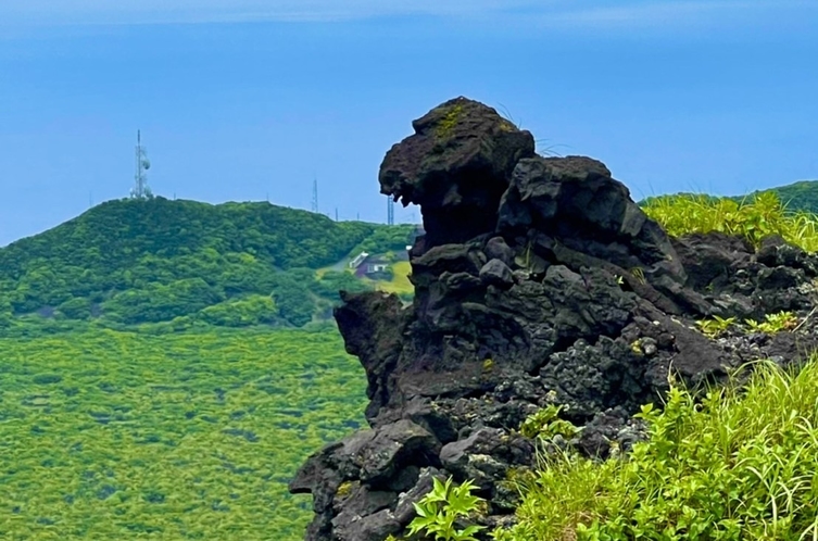 ゴジラ岩