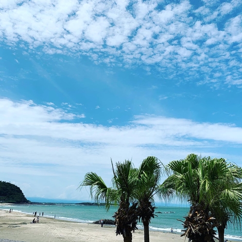 目の前は大自然広がる白浜海水浴場