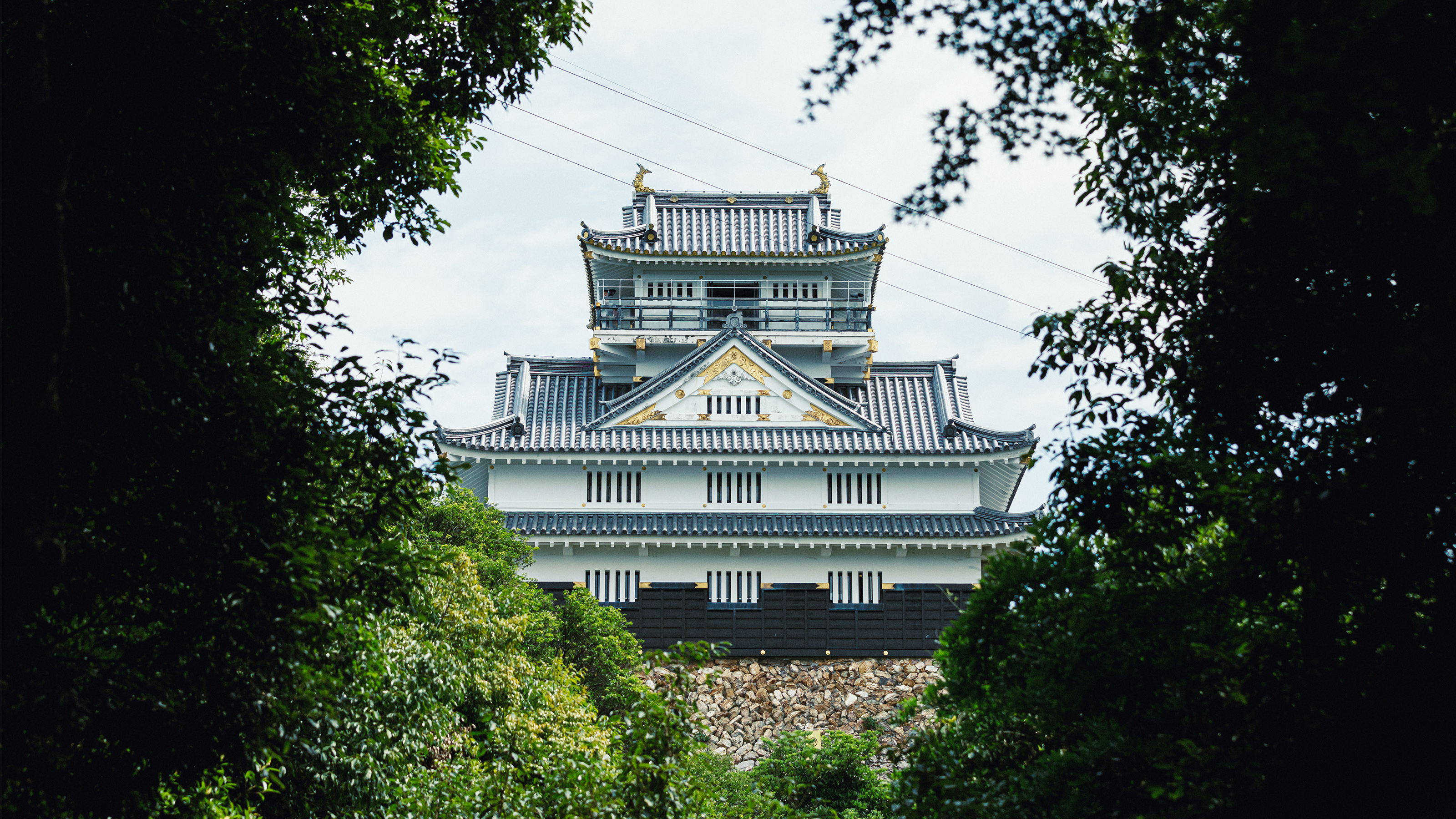 岐阜城（ホテルから車で50分）：築城されている城郭の中でも、有数の高さ（約330m）を誇ります