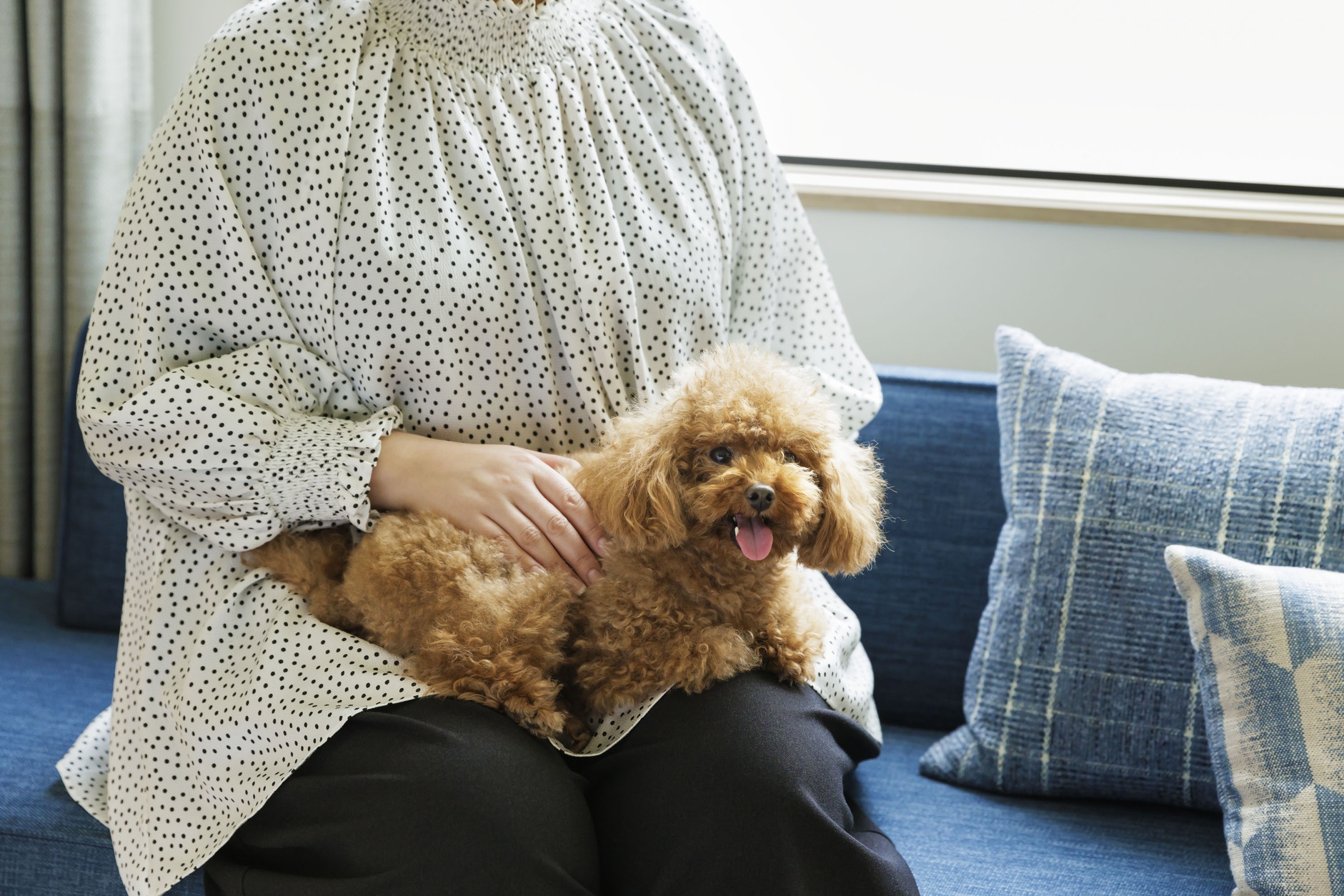 【Dog Friendly Room】〜愛犬と岐阜を満喫旅〜 素泊まり＜小学生以下添い寝無料＞