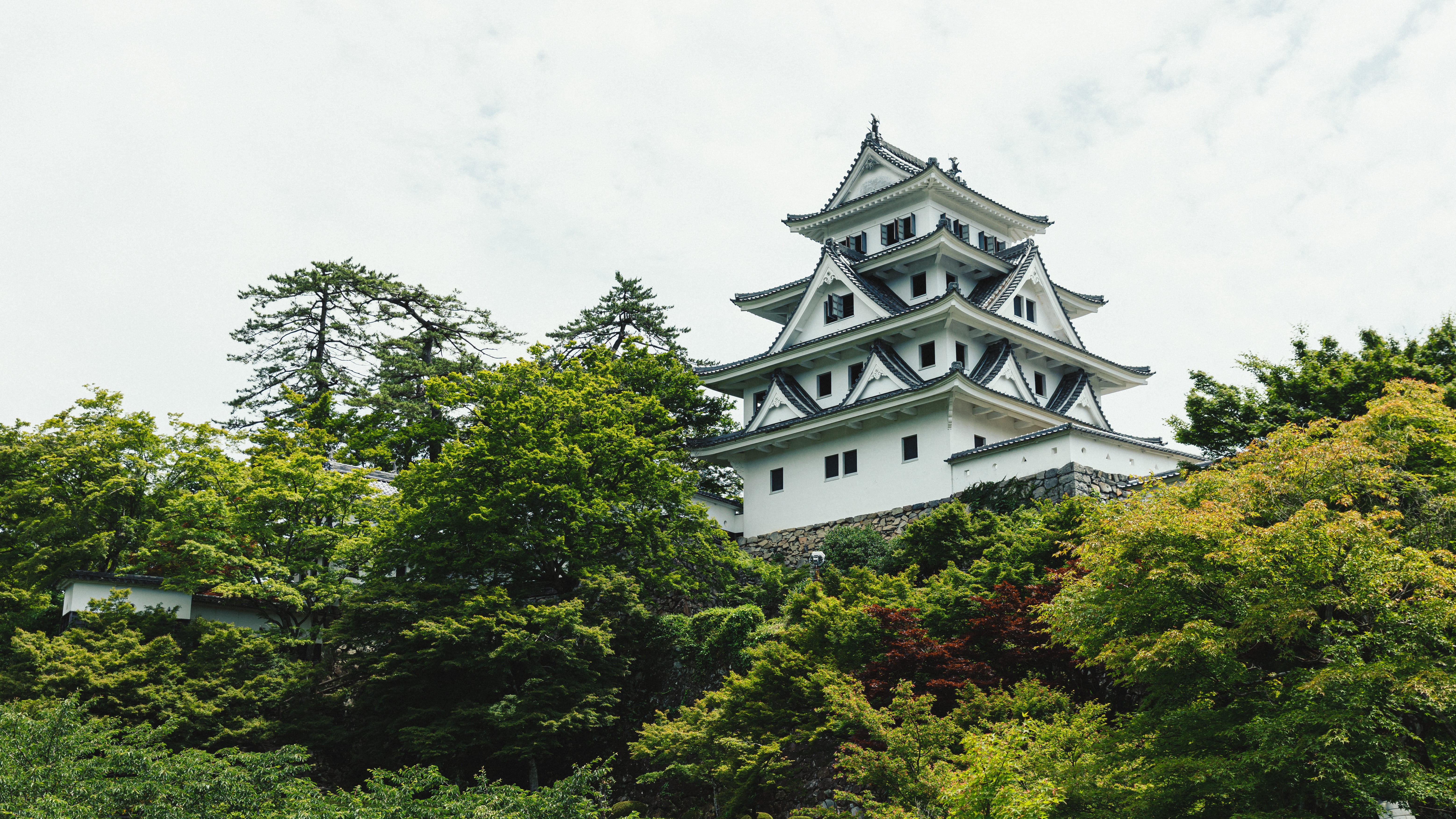 郡上八幡城