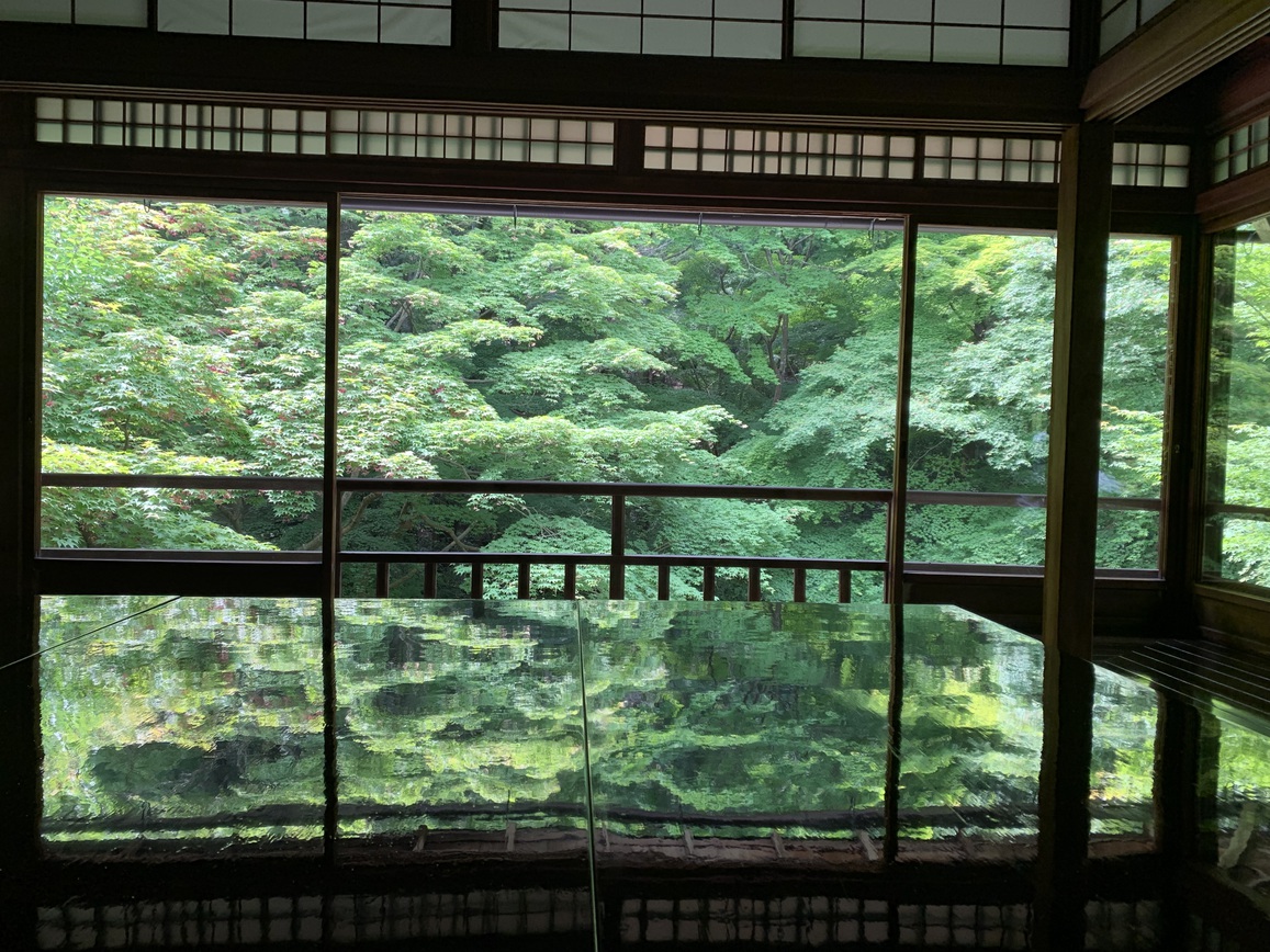 初夏の京都・いい旅プラン〜特典付き〜