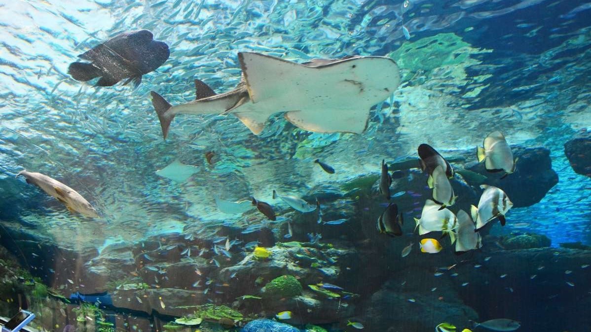 名古屋港水族館　写真提供：（公財）名古屋観光コンベンションビューロー