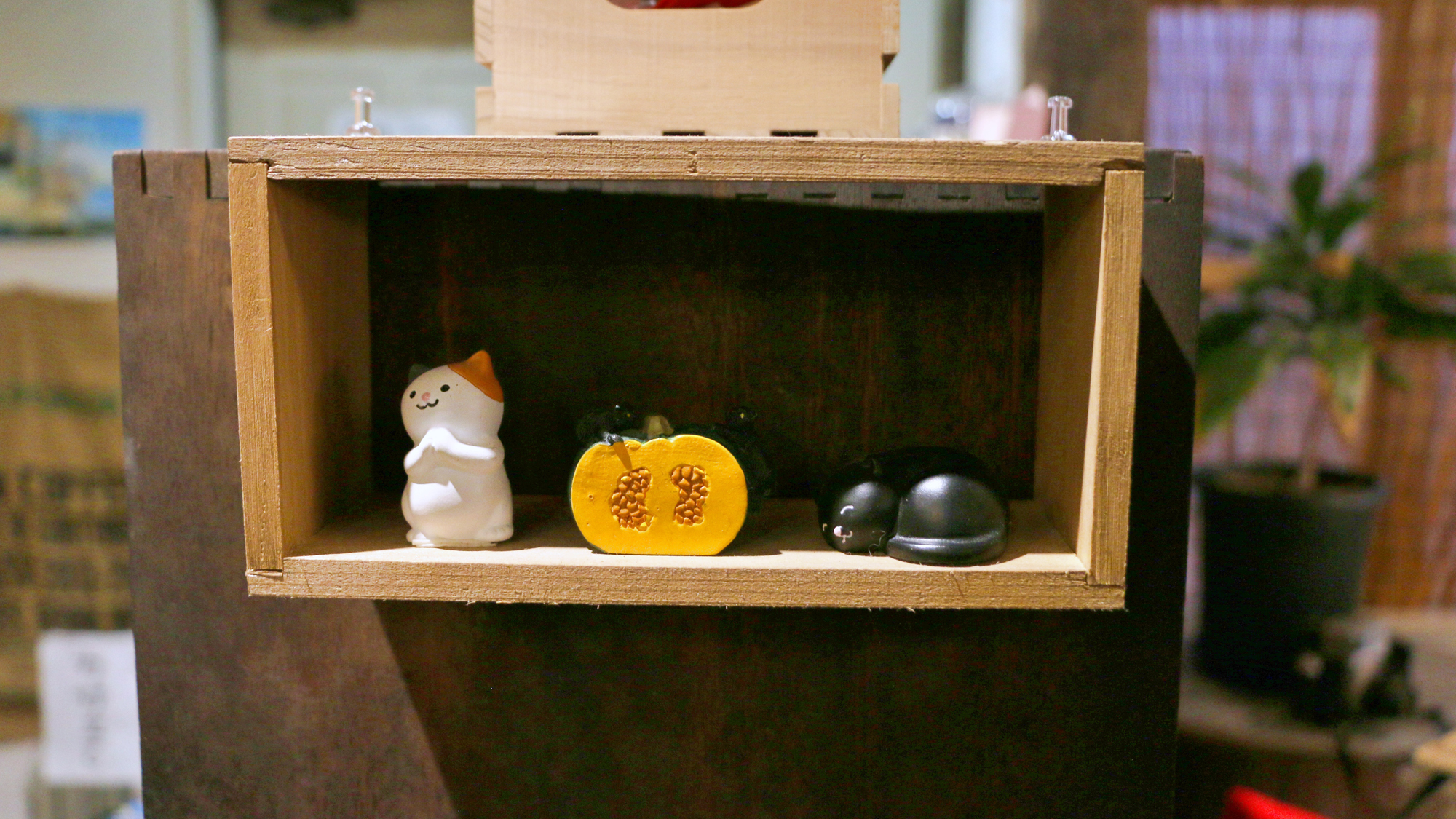 【宿泊イメージ 】