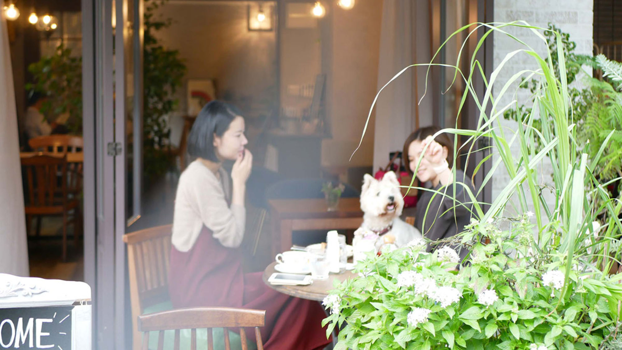 ・1階カフェのテラス席