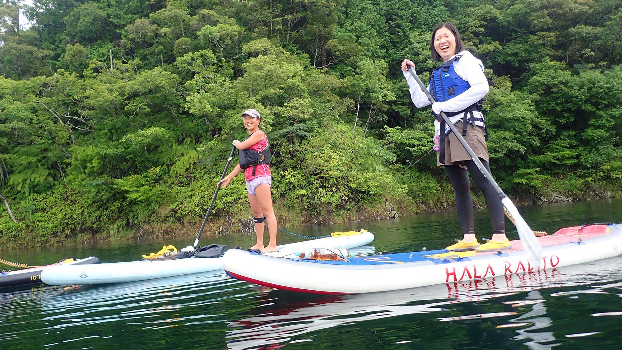 さめうら荘 宿泊予約 楽天トラベル さめうら荘 宿泊予約 楽天トラベル