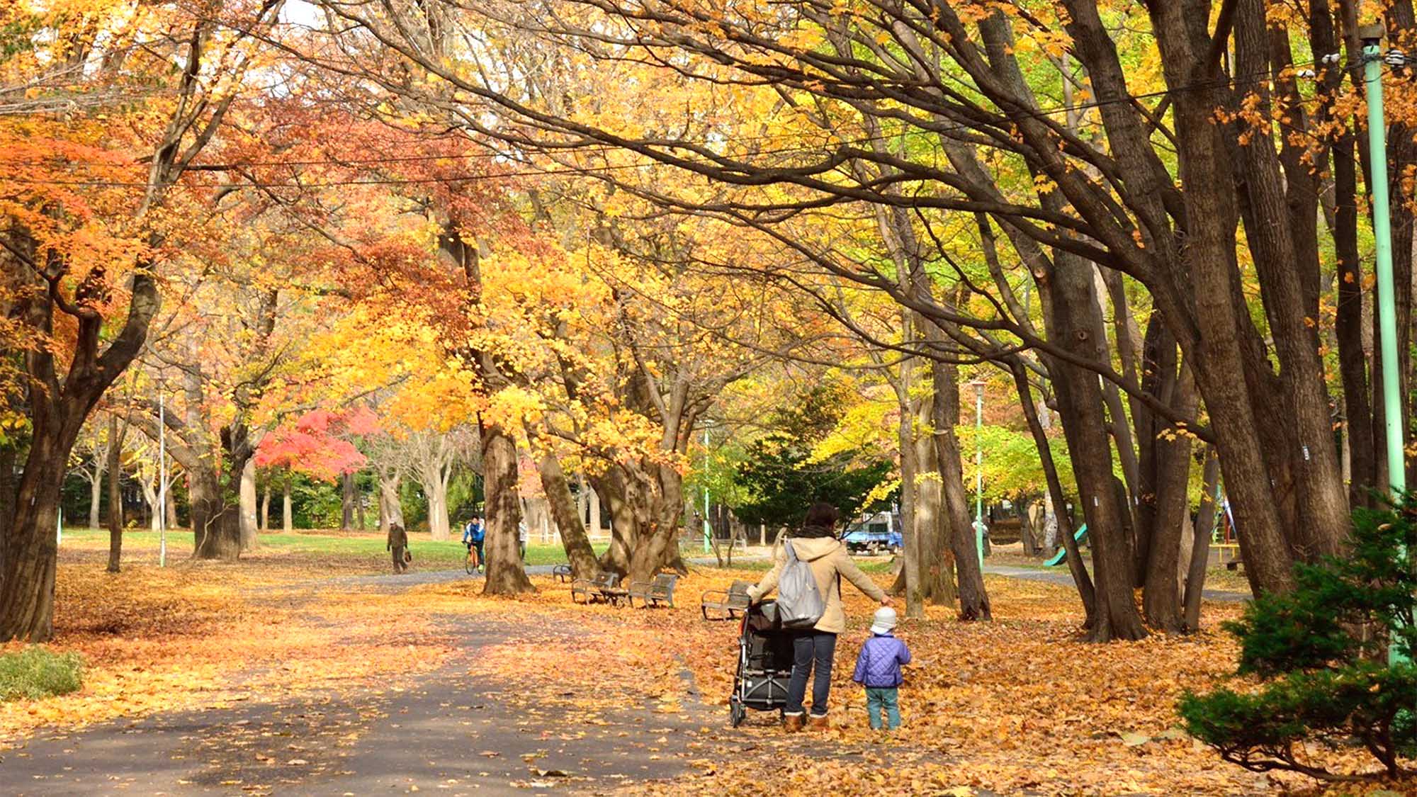 ・【円山公園】ホテルより850m（徒歩約12分、タクシーで約5分）