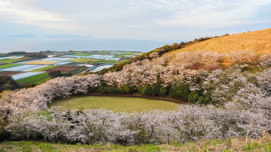・【周辺観光地】【箕岳園地】満開の桜が咲き、お花見にもぴったりのスポットです