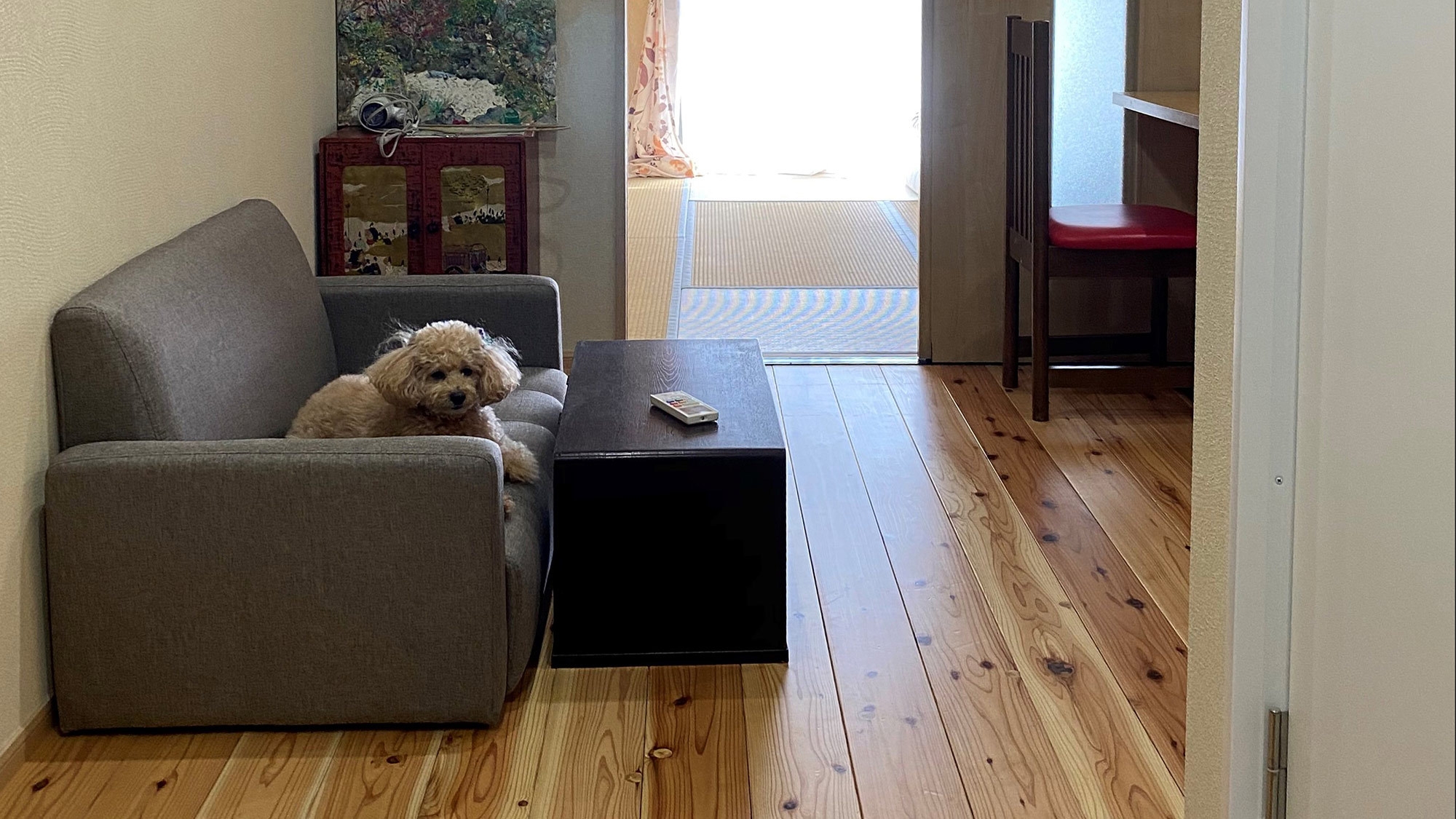 アパートメント バルコニー付(401号室)※ペット可