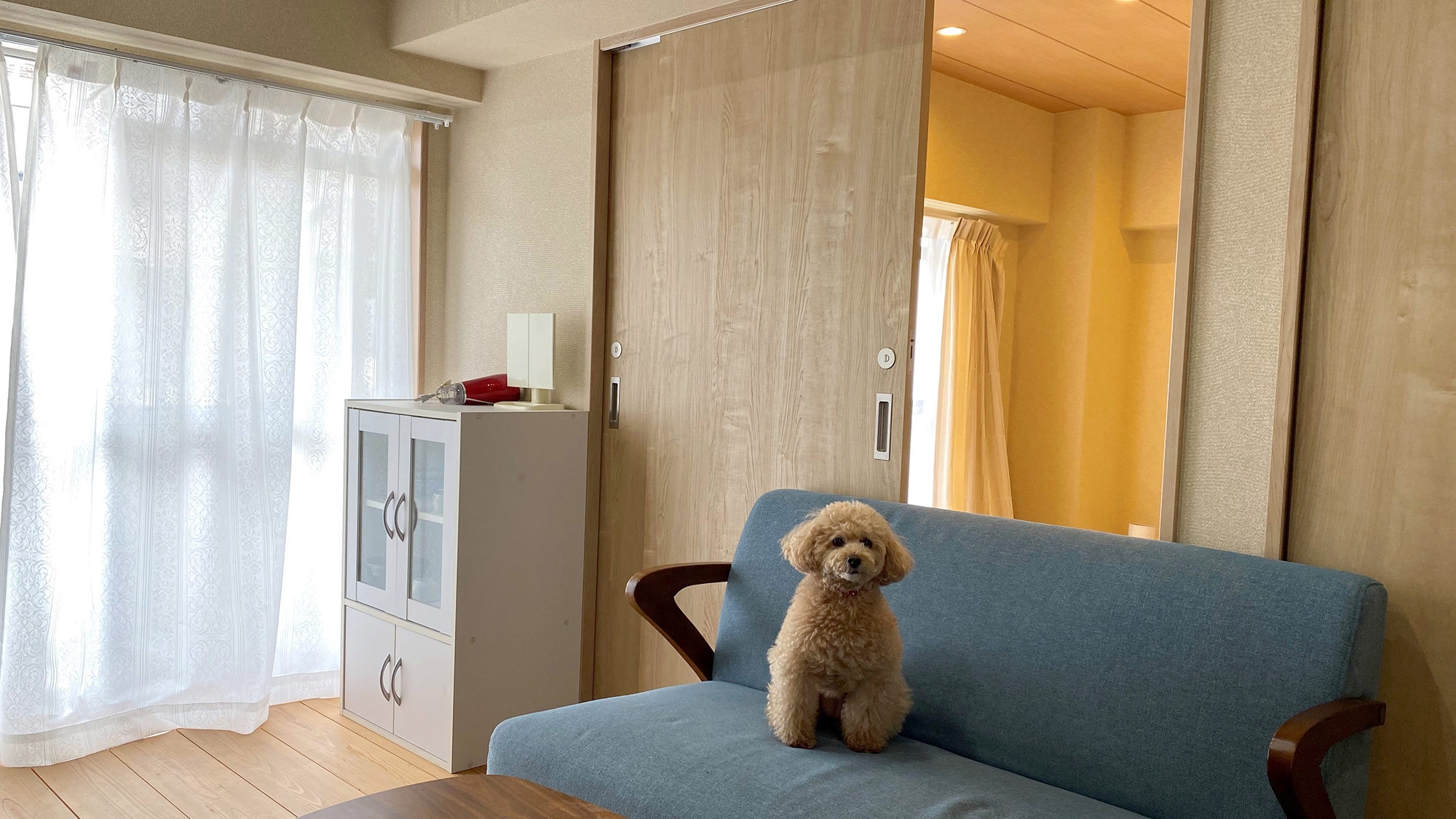 アパートメント バルコニー付(203号室)★ペット同宿可