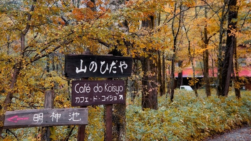 【スタンダードプラン】自然の恵み「信州山ごはん」でほっこりと。上高地の大自然で過ごす休日