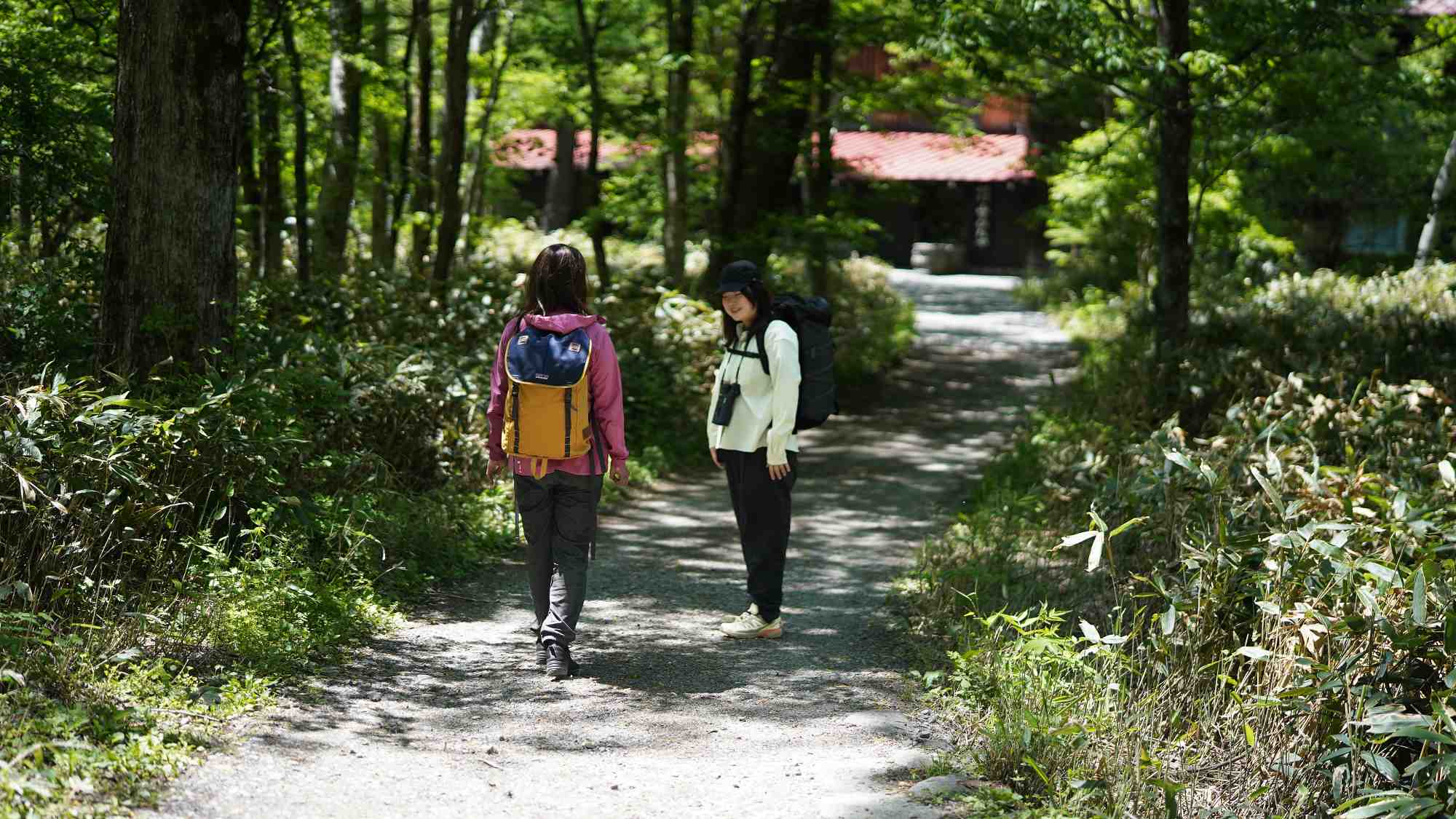 上高地の森を歩く静かな時間