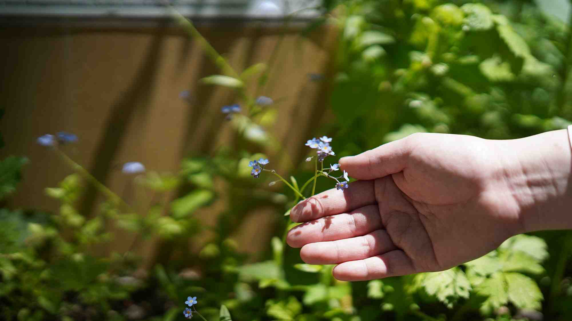 四季折々の表情を楽しむ散策路