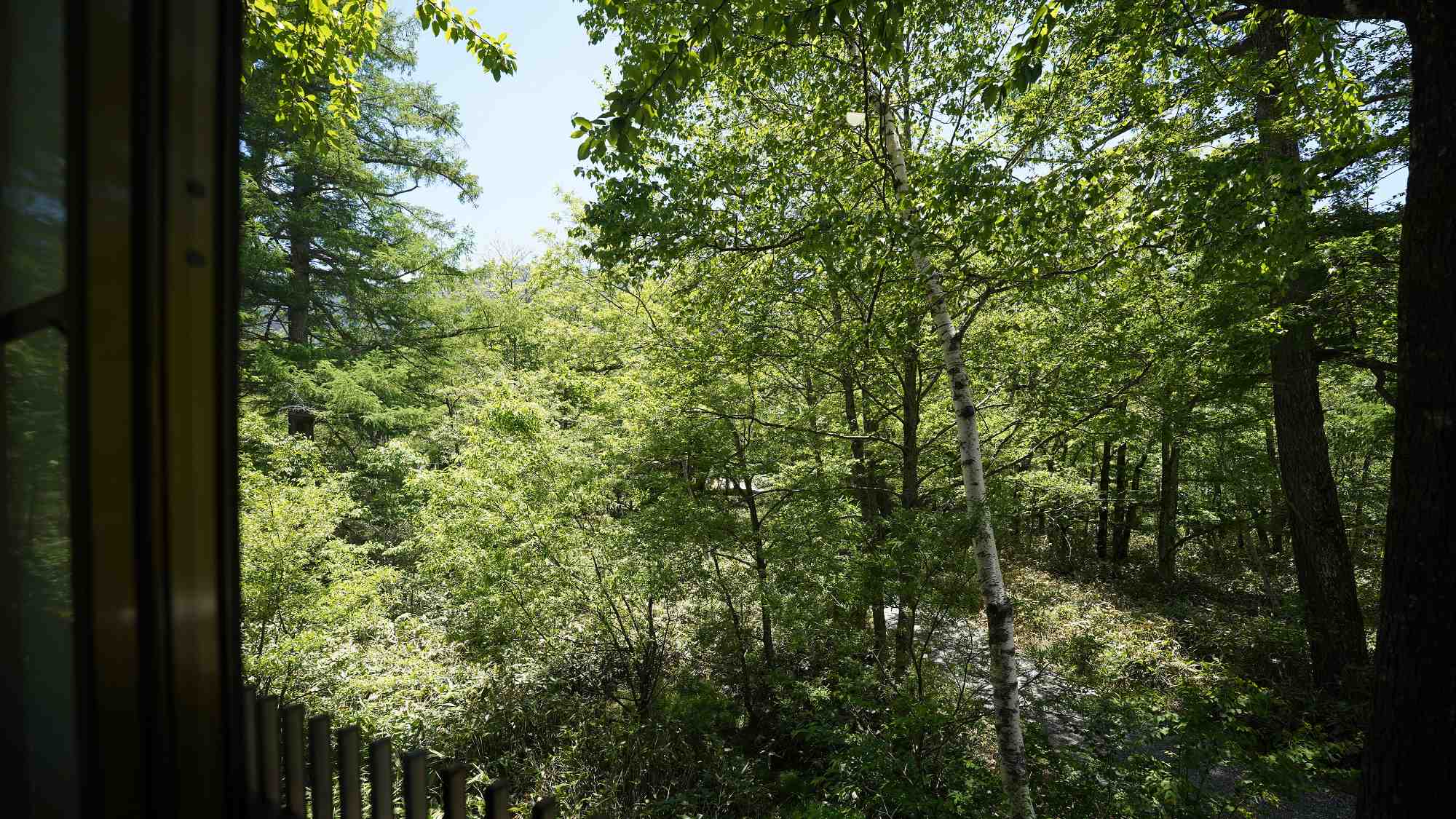 【東館・和室６畳】お部屋からの眺望