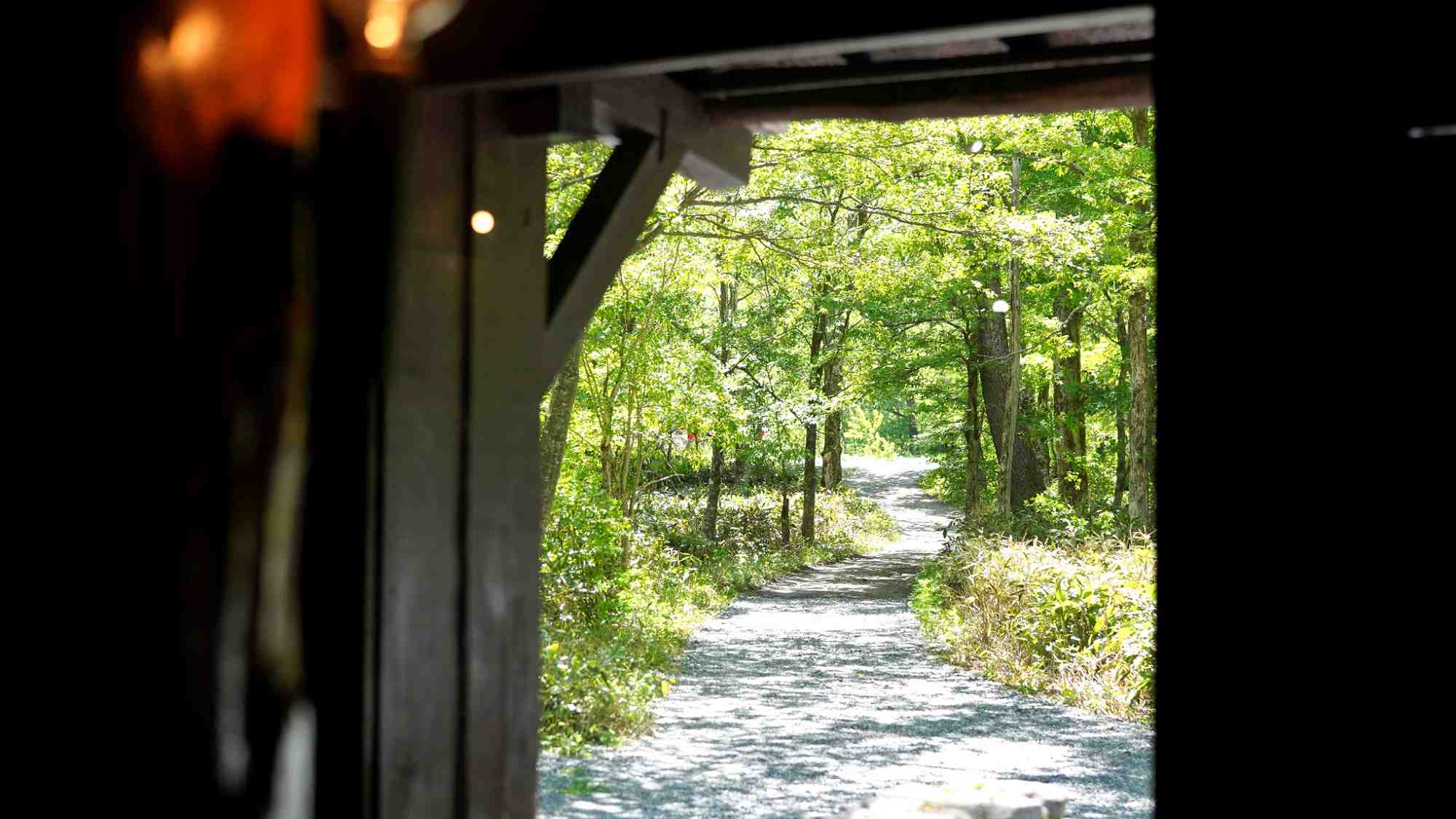 併設のカフェ店内