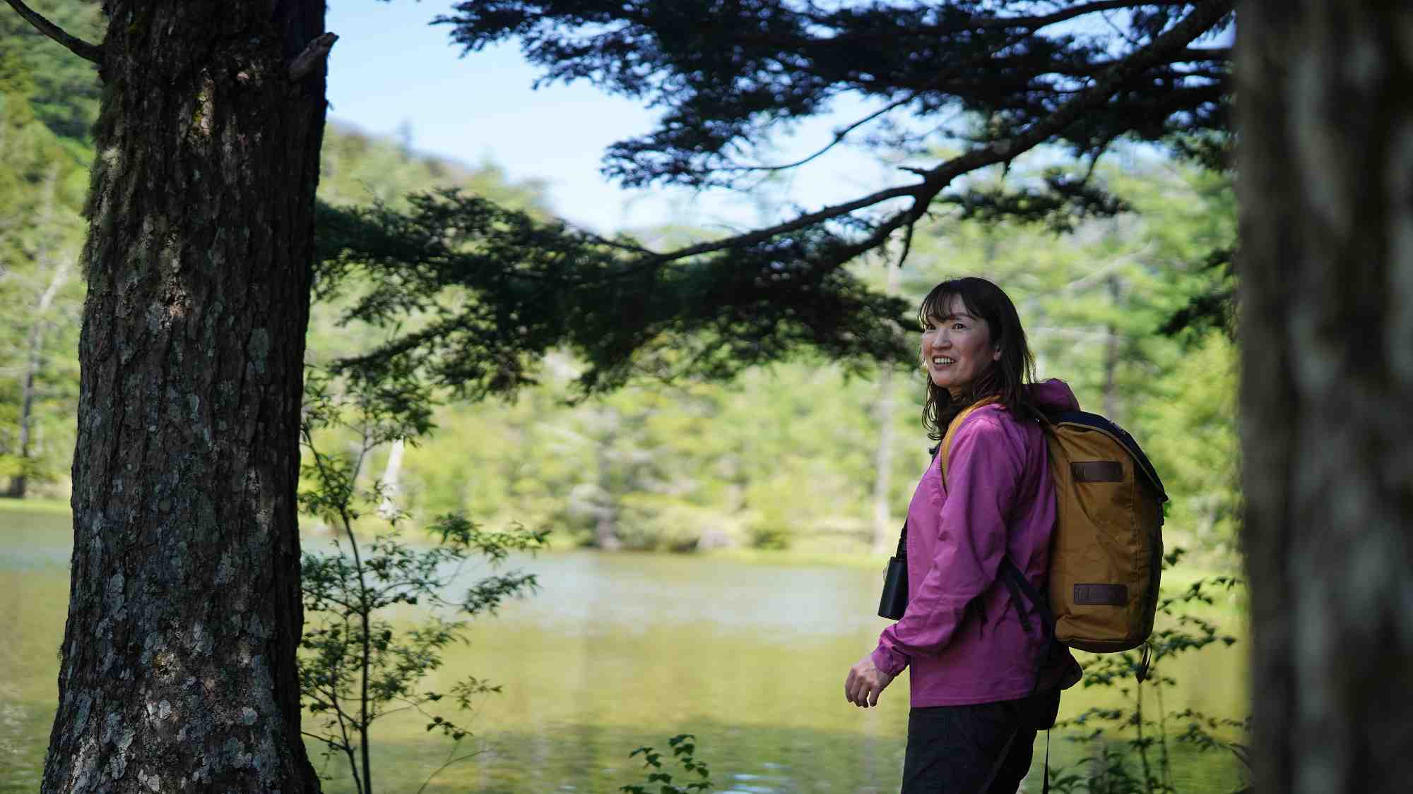 四季折々の表情を楽しむ散策路