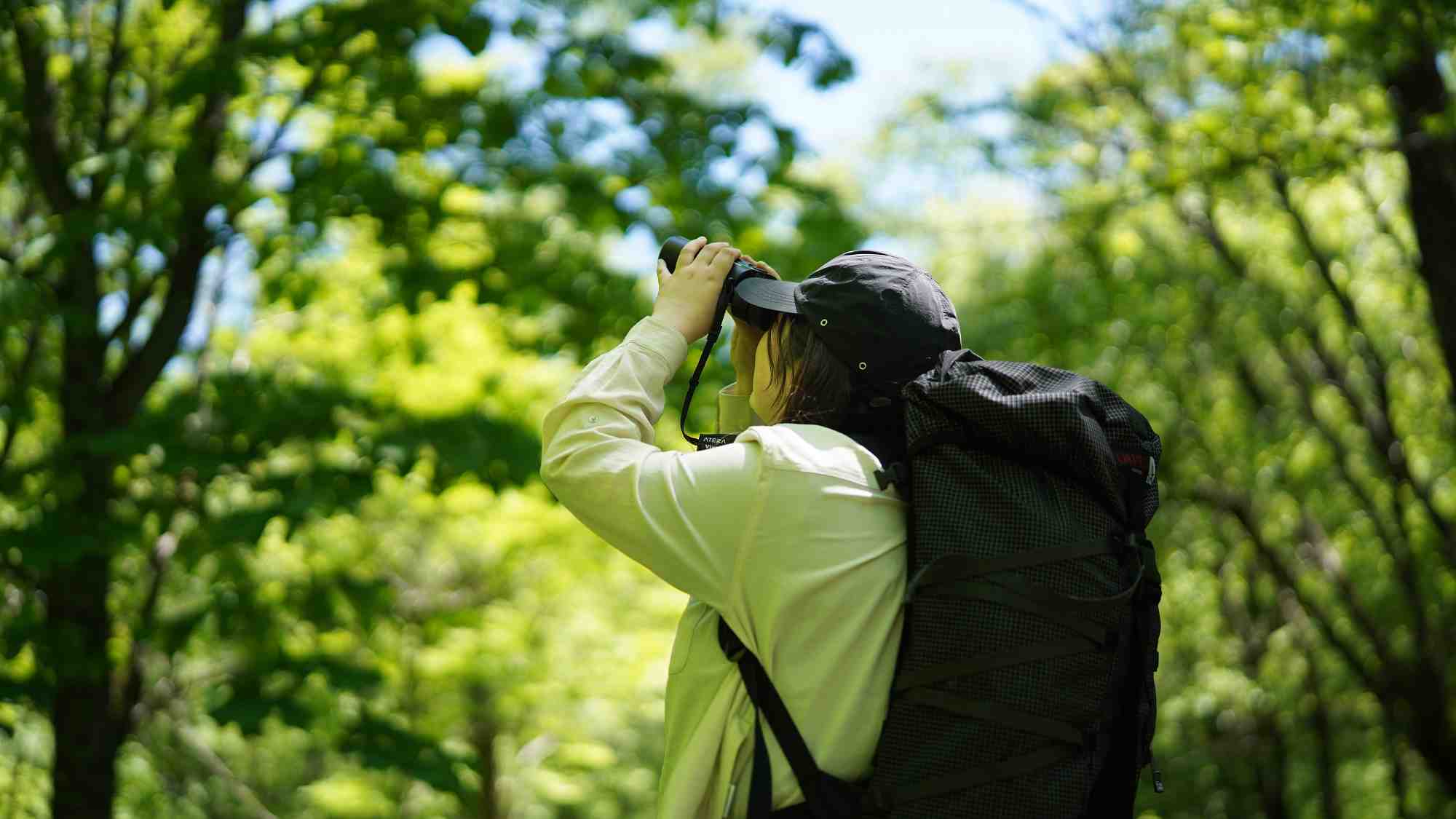 風と緑に導かれる上高地の旅