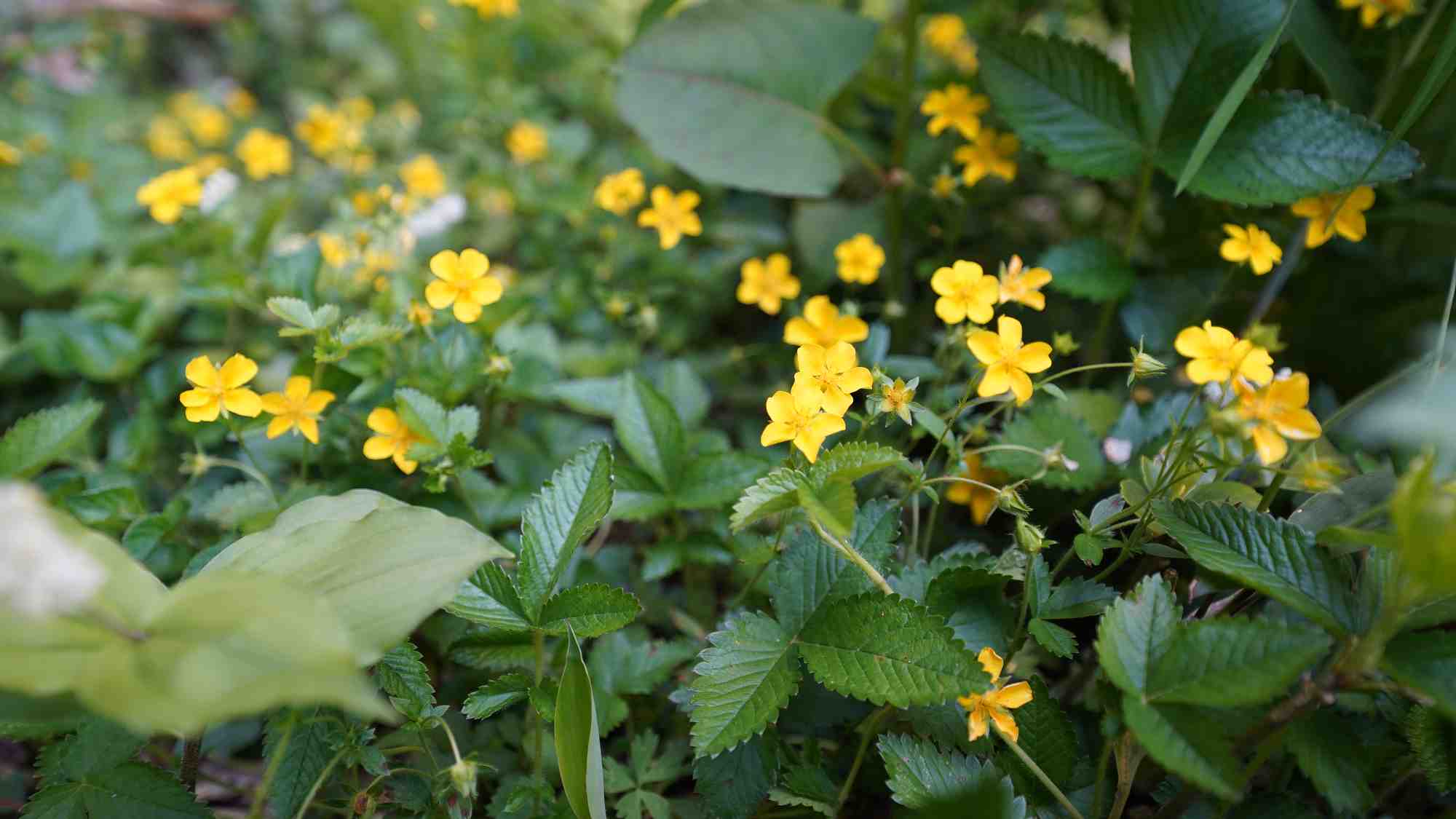 四季折々の表情を楽しむことができます