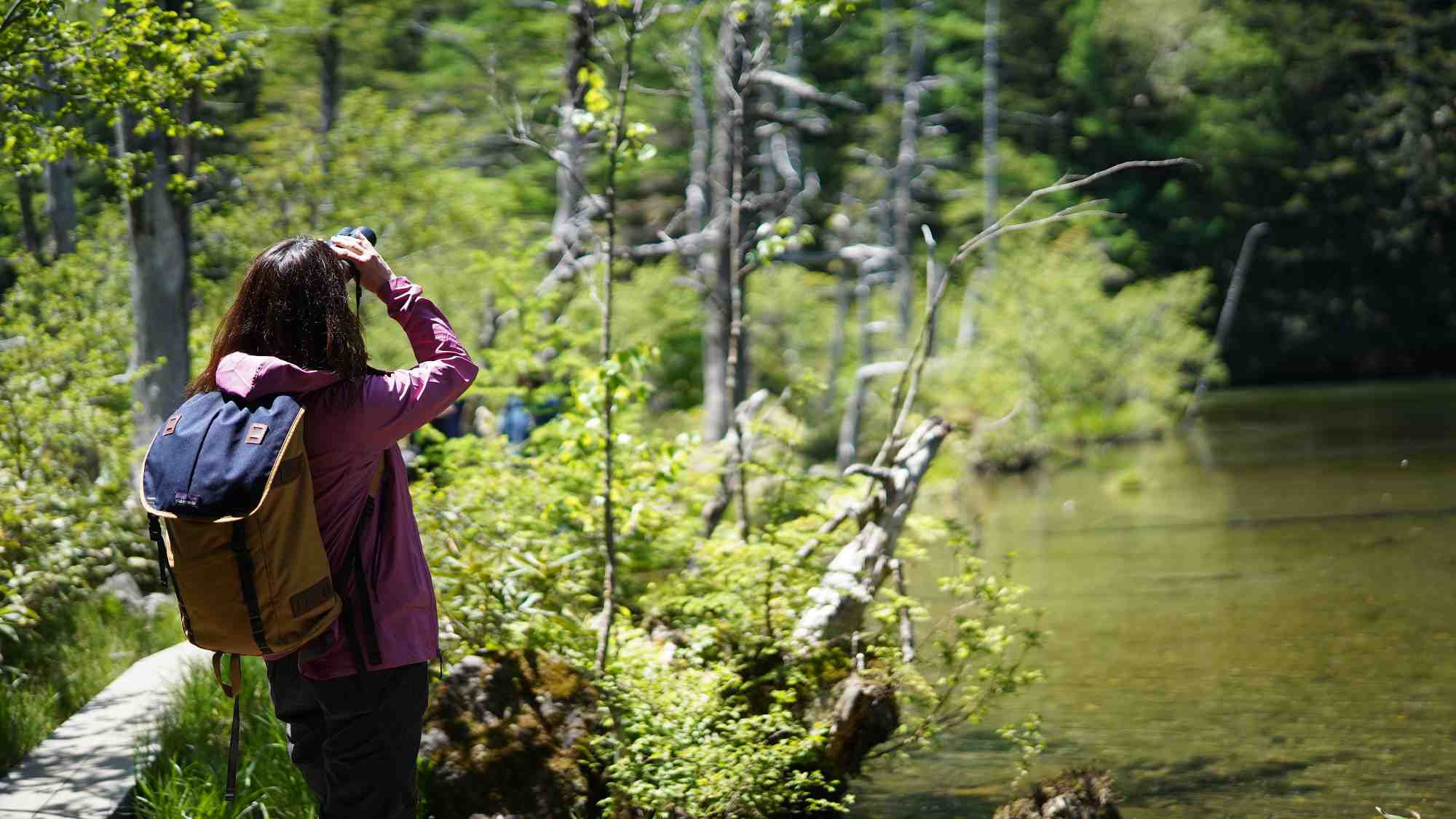 新緑に包まれた癒しのトレイル