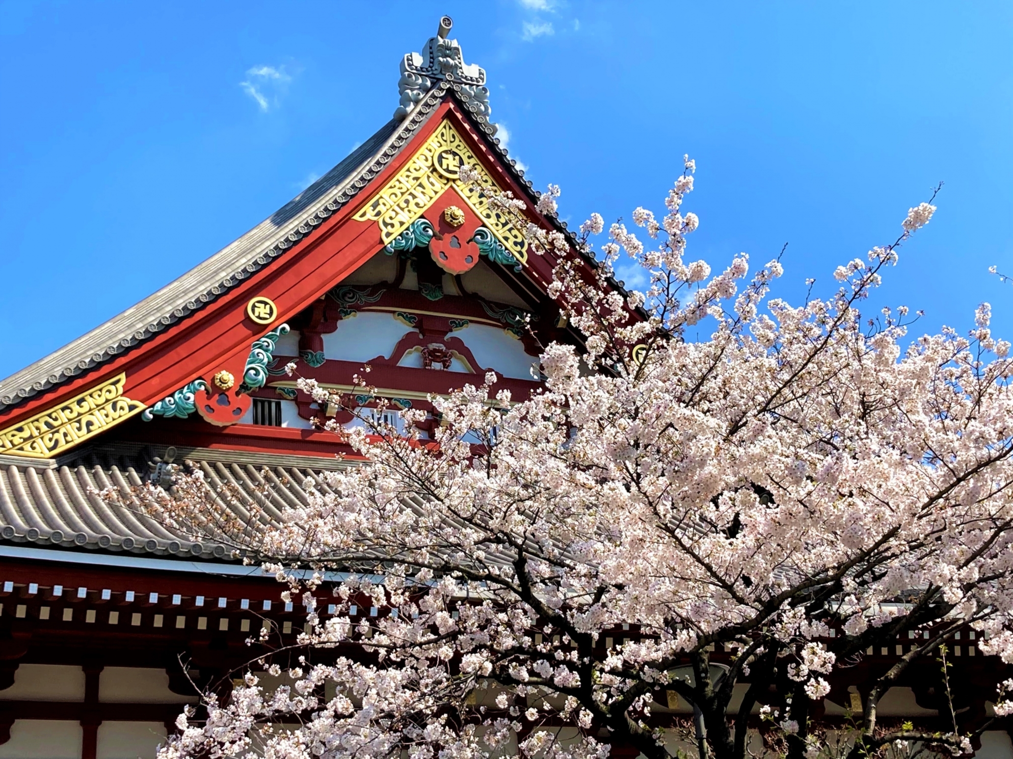 春の東京の様子