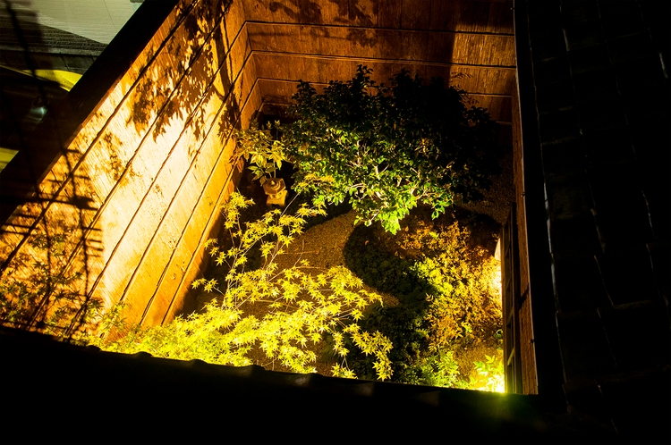 “成の間”から見下ろす、ライトアップされた坪庭です。