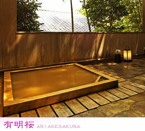 Ariake Sakura (for plan)