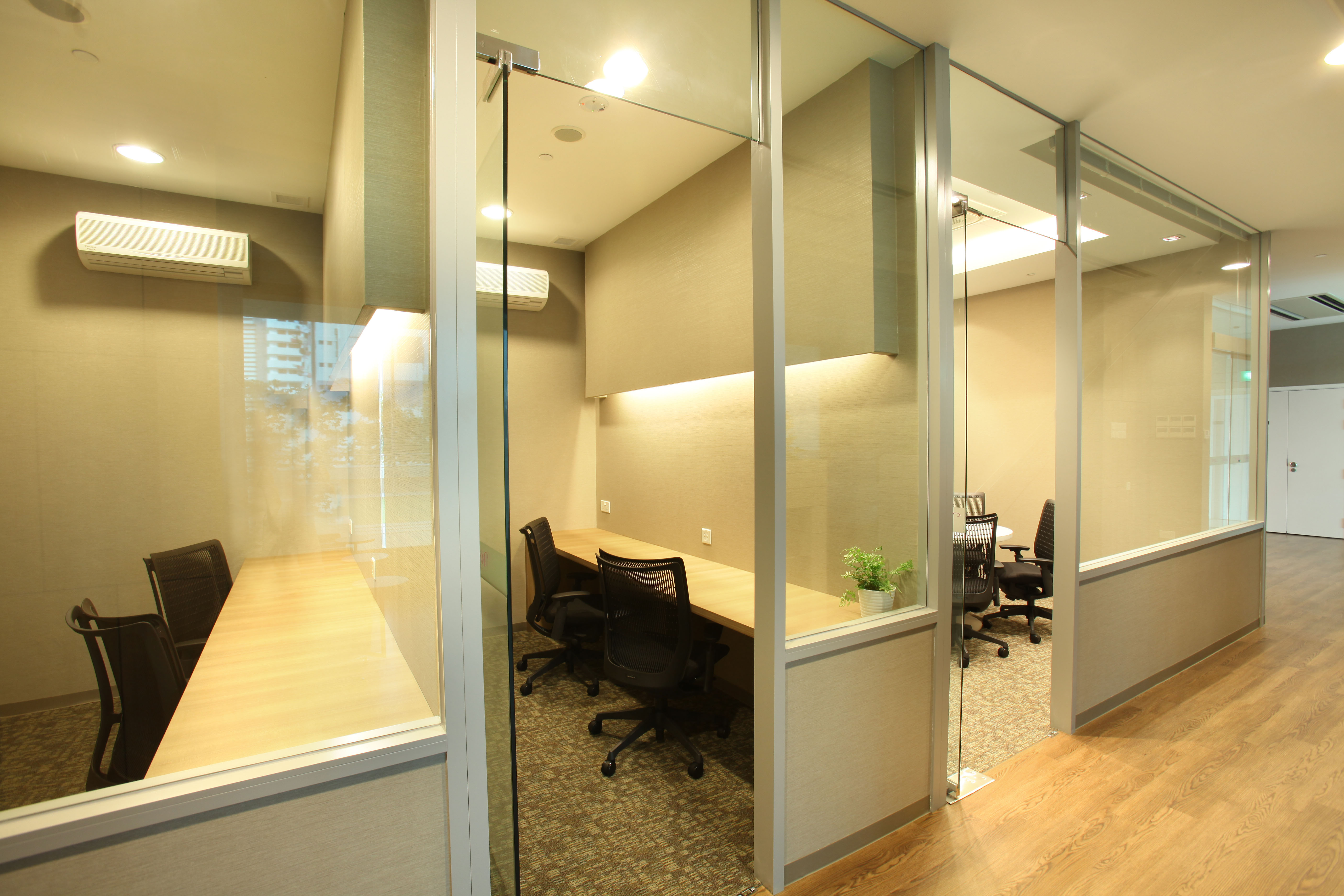 Meeting room and Private workstations