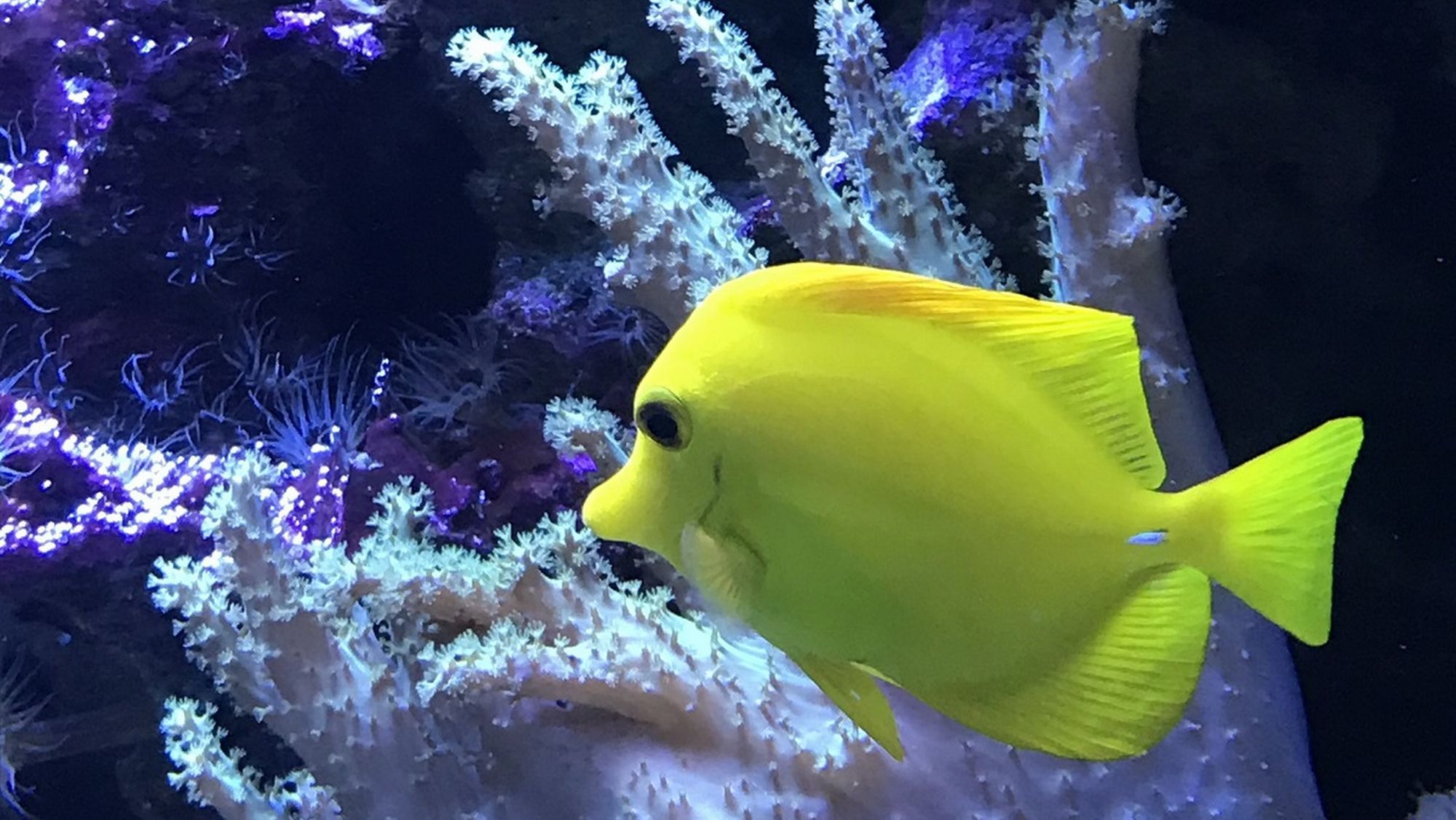 宮島水族館「みやじマリン」